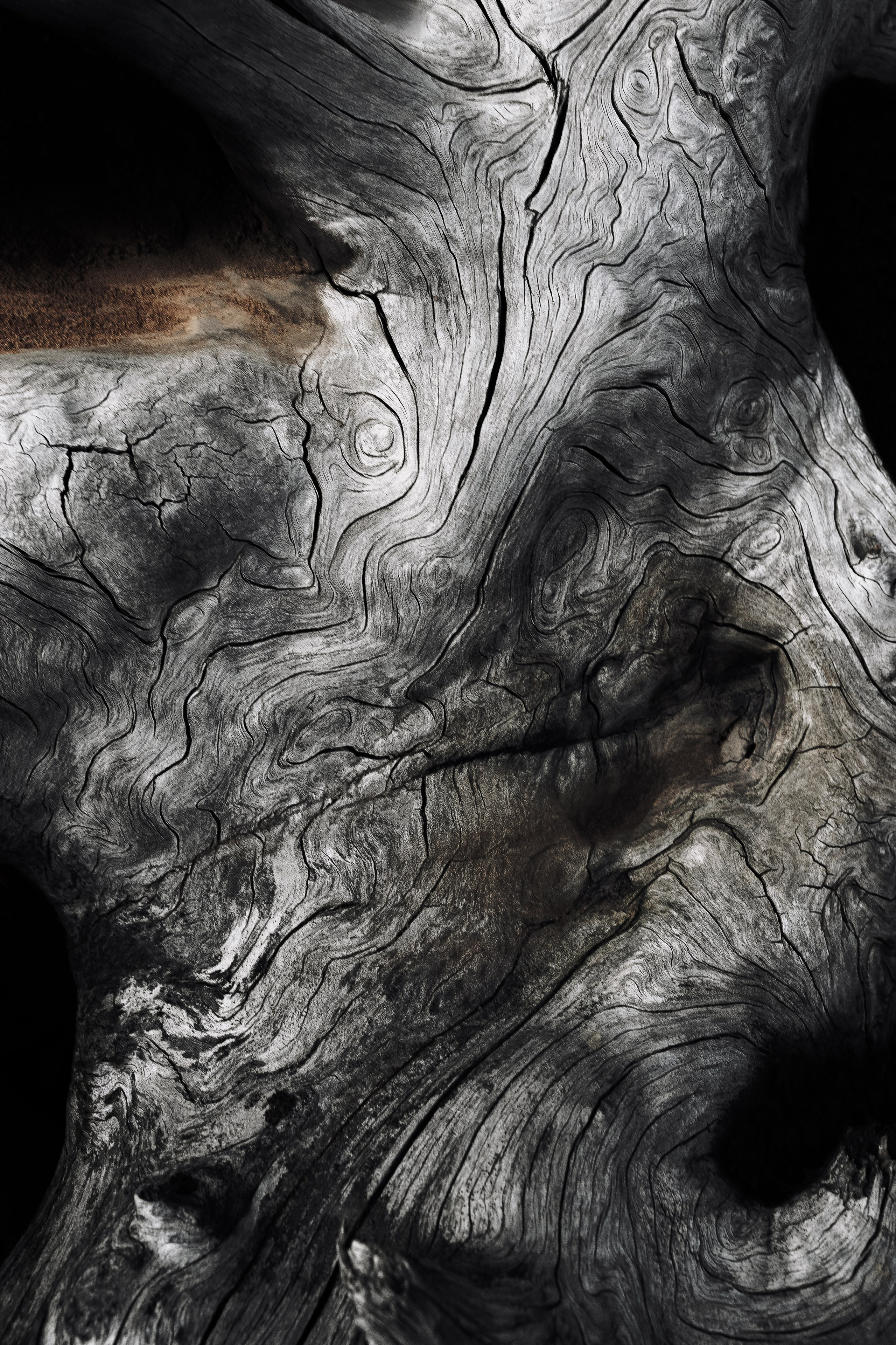 Жизнь. Фотограф Алматы | Весь мир — Никита Колодин