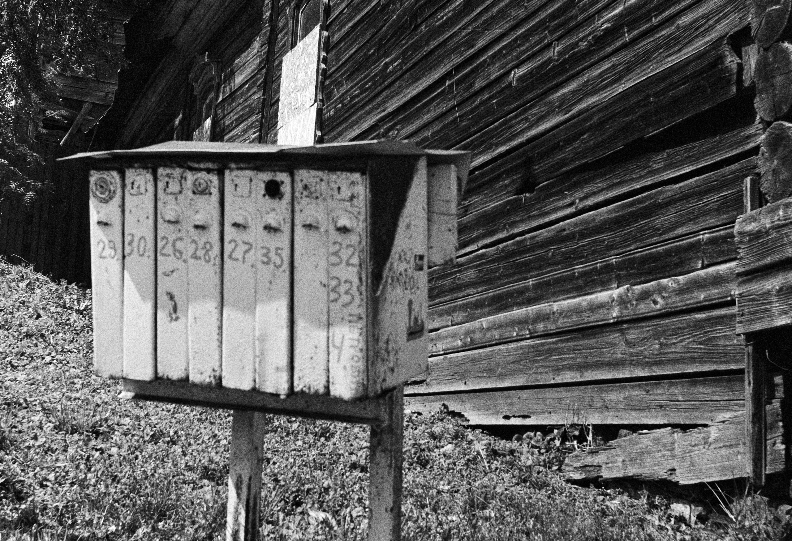 Пленочная фотография в Москве