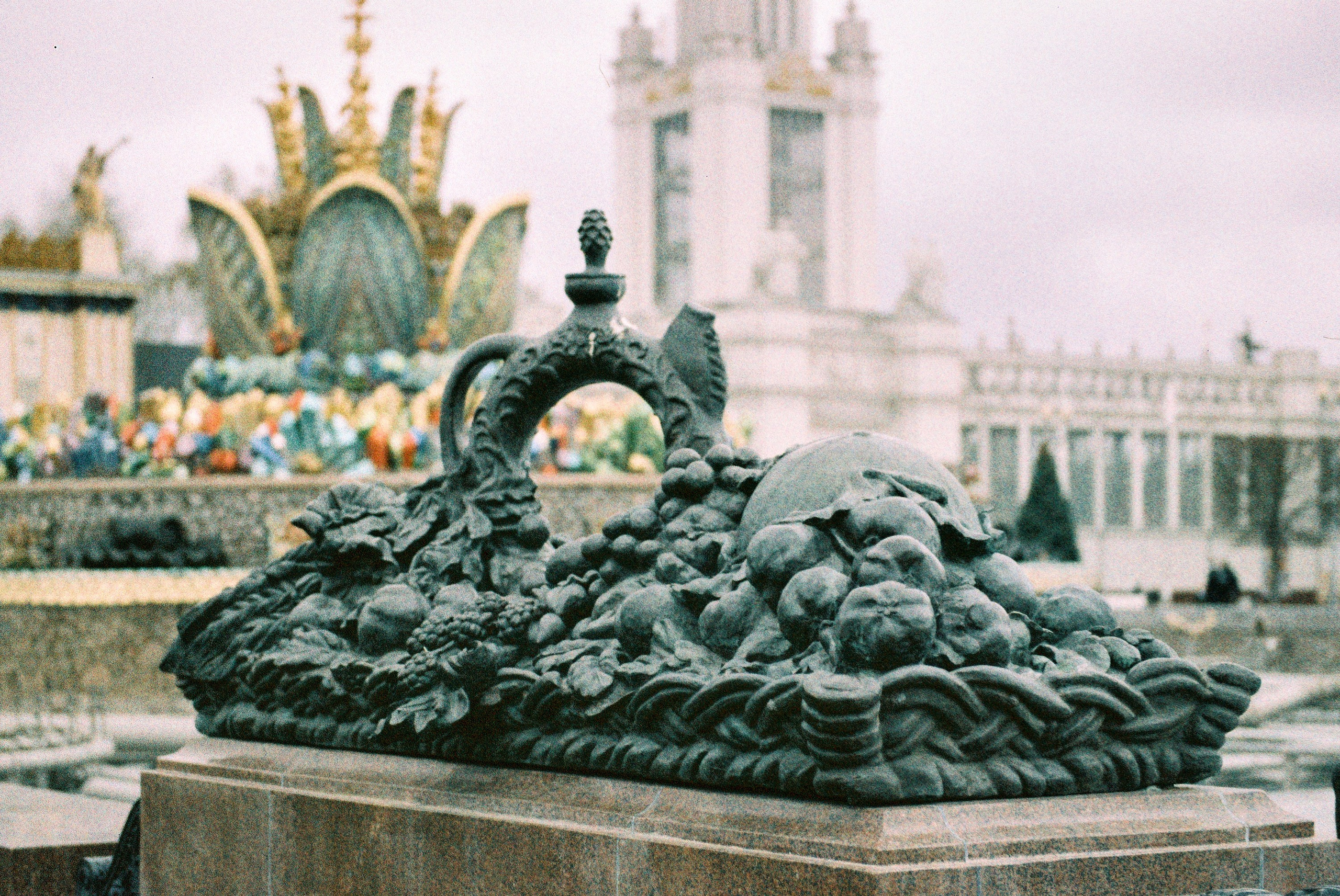 Фотосессии на пленочный фотоаппарат Nikon F6