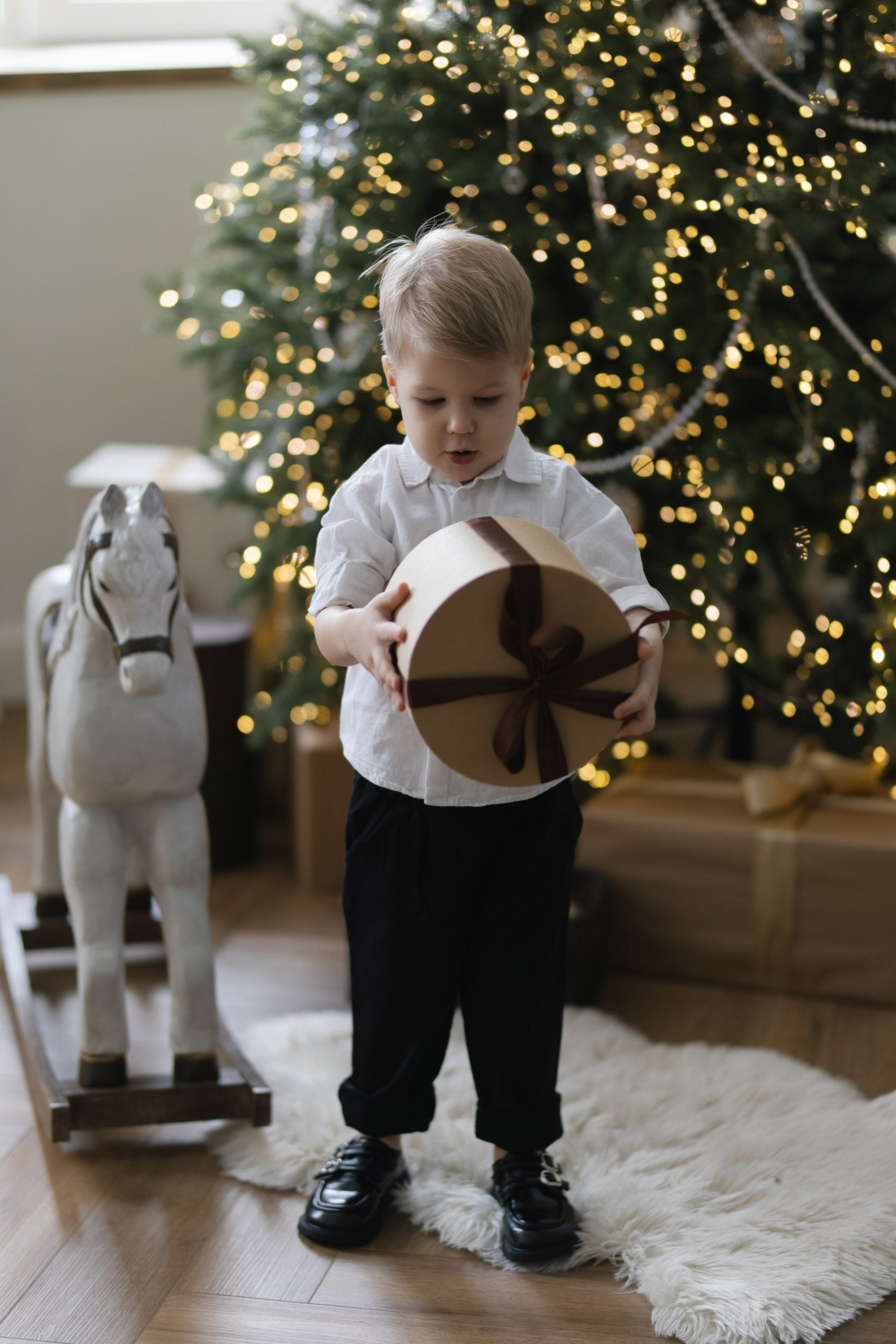 «В ОЖИДАНИИ НОВОГО ГОДА». Maria Startseva Photo