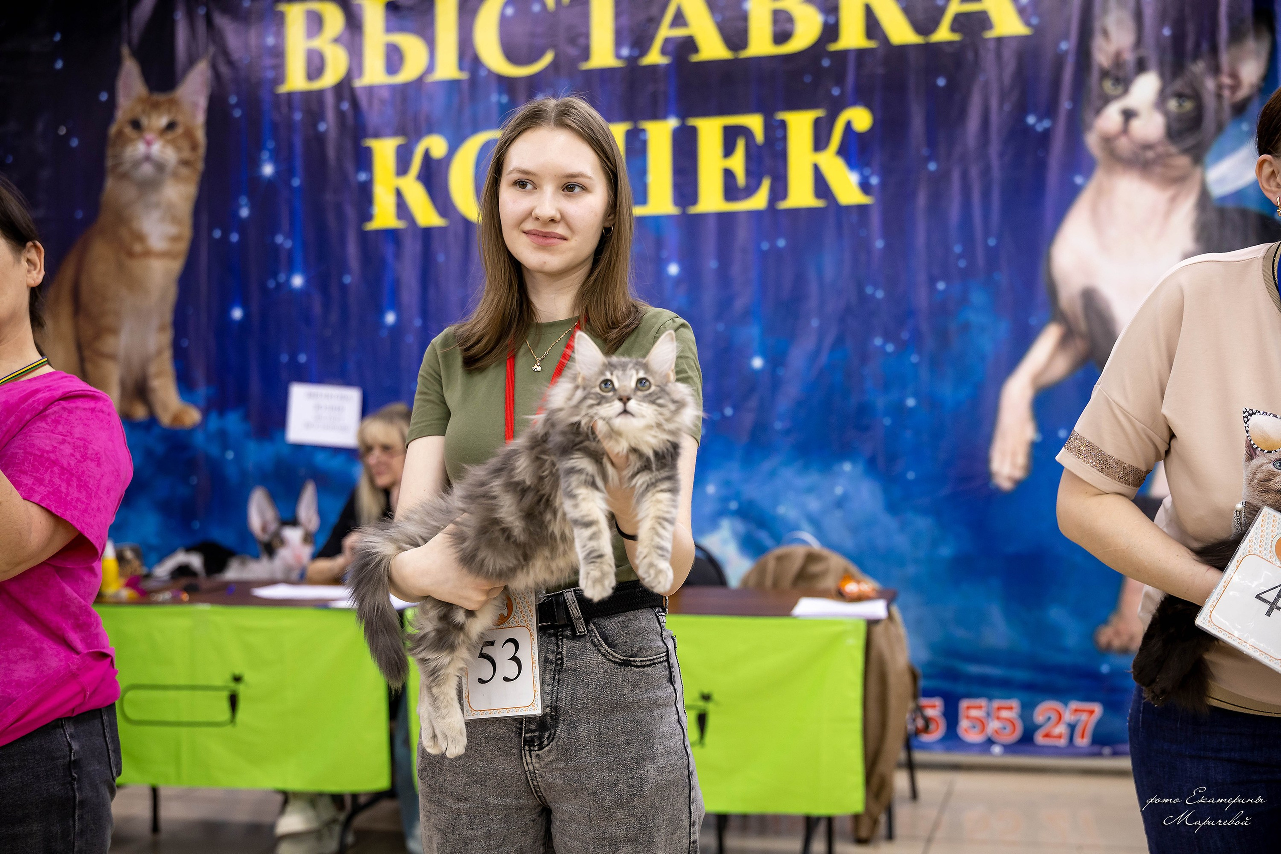11–12 апреля — Интершоу — «Звездная Галактика Доброго Кота». Работаю со стендом. Фотограф-анималист в Омске Екатерина Маричева