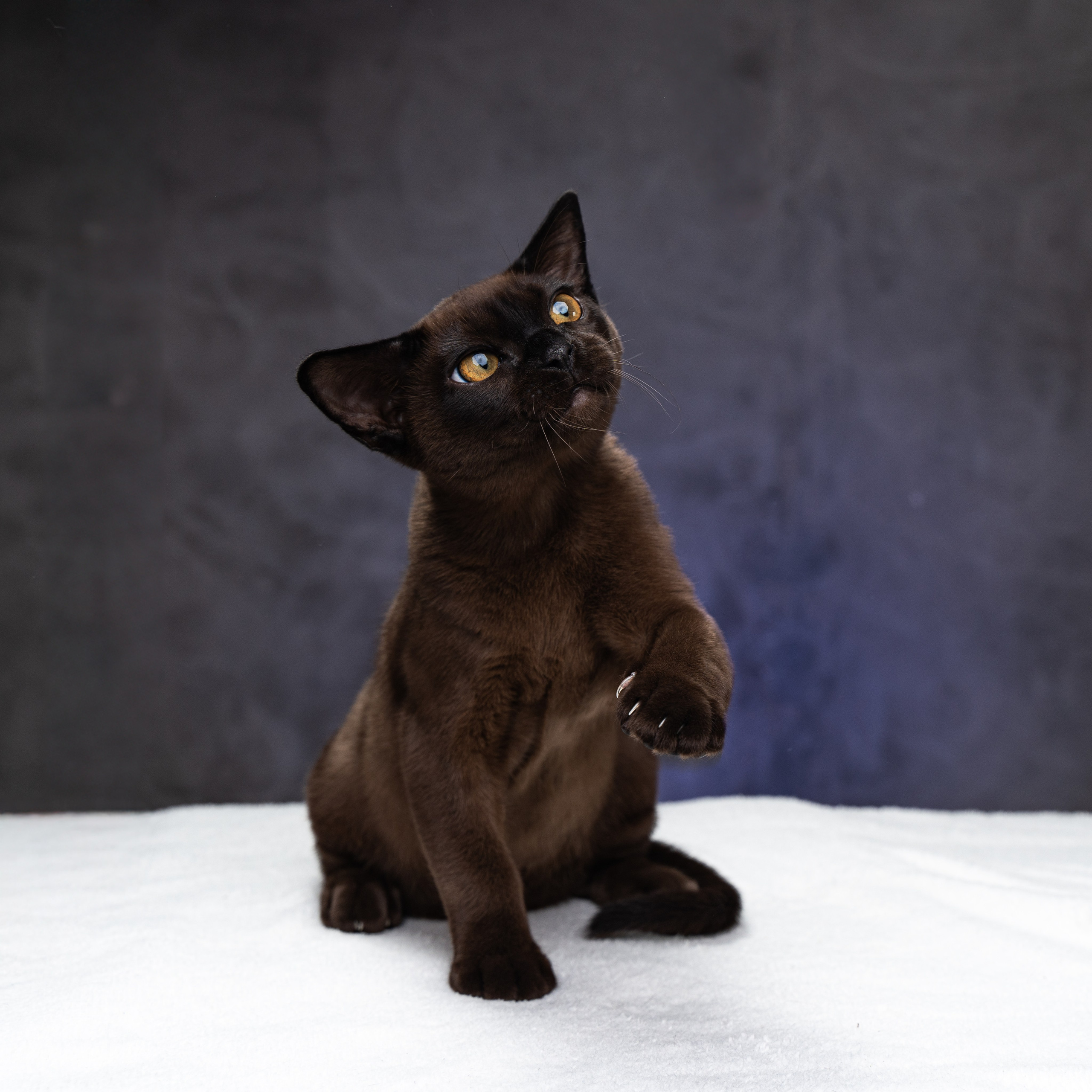 QUEST. ЮRA. Делаю красиво