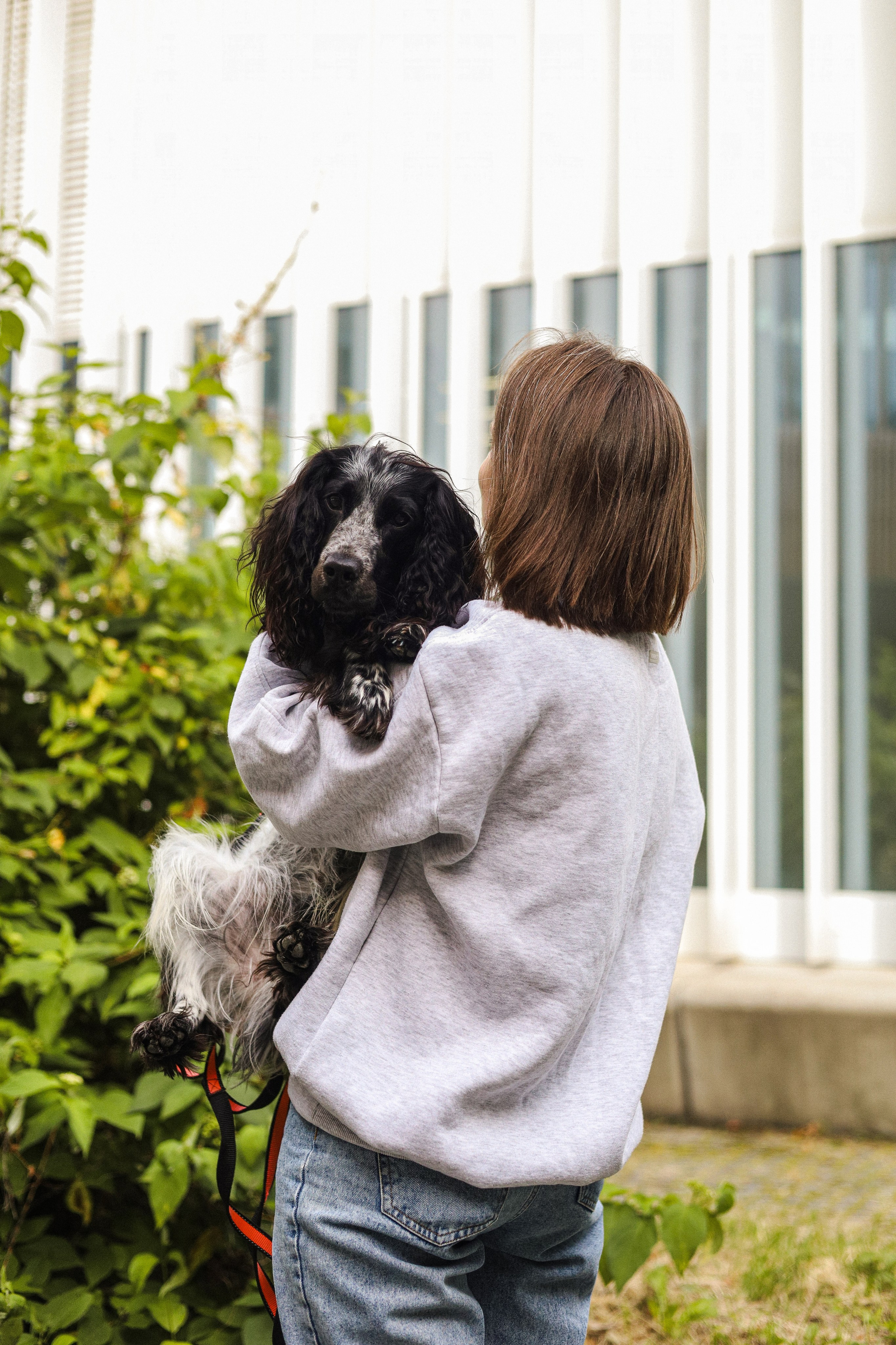 Купер и его семья. Фотограф-анималист Ксения Шевцова|Москва