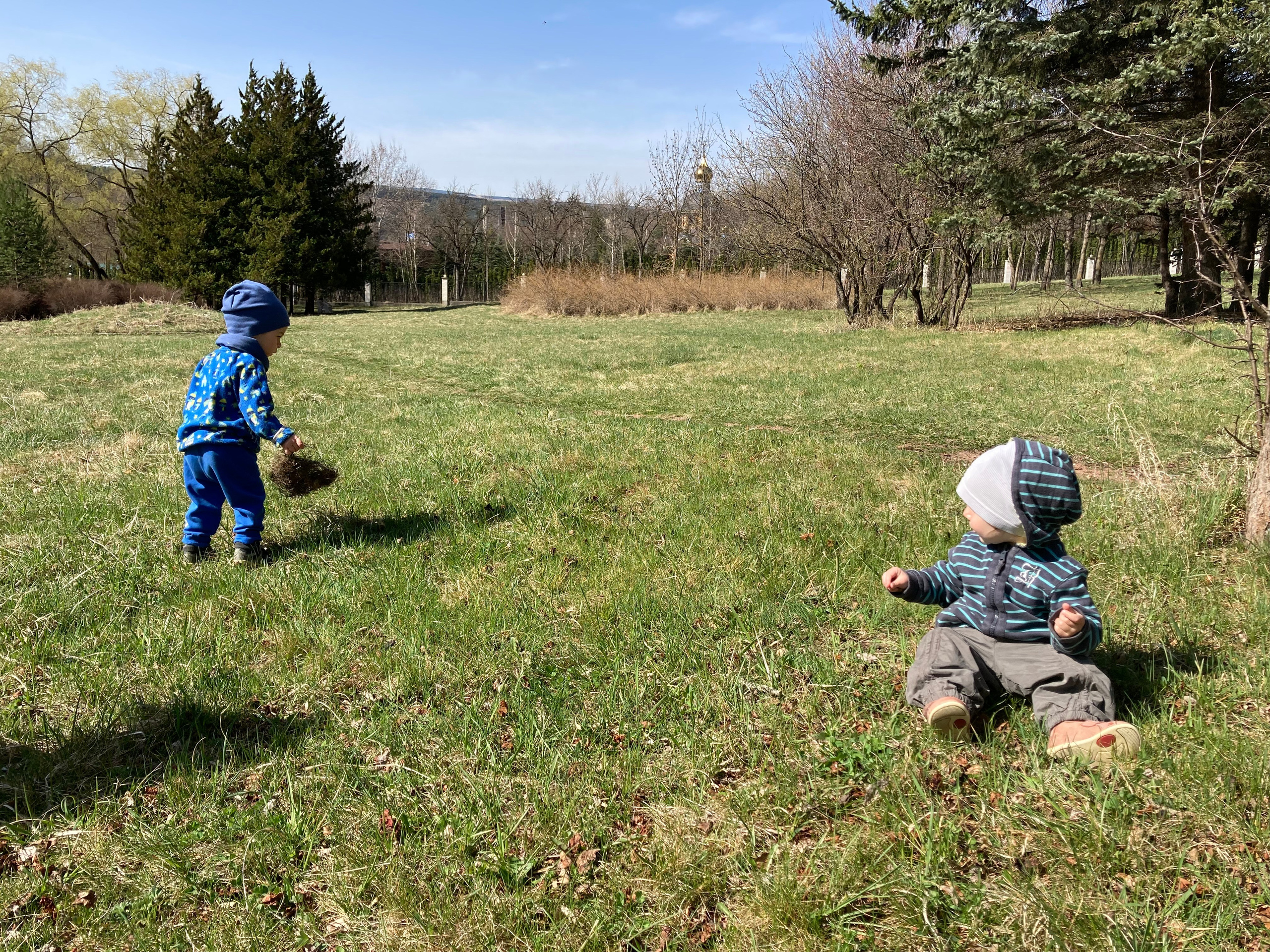 Дети. Смотри, красота!