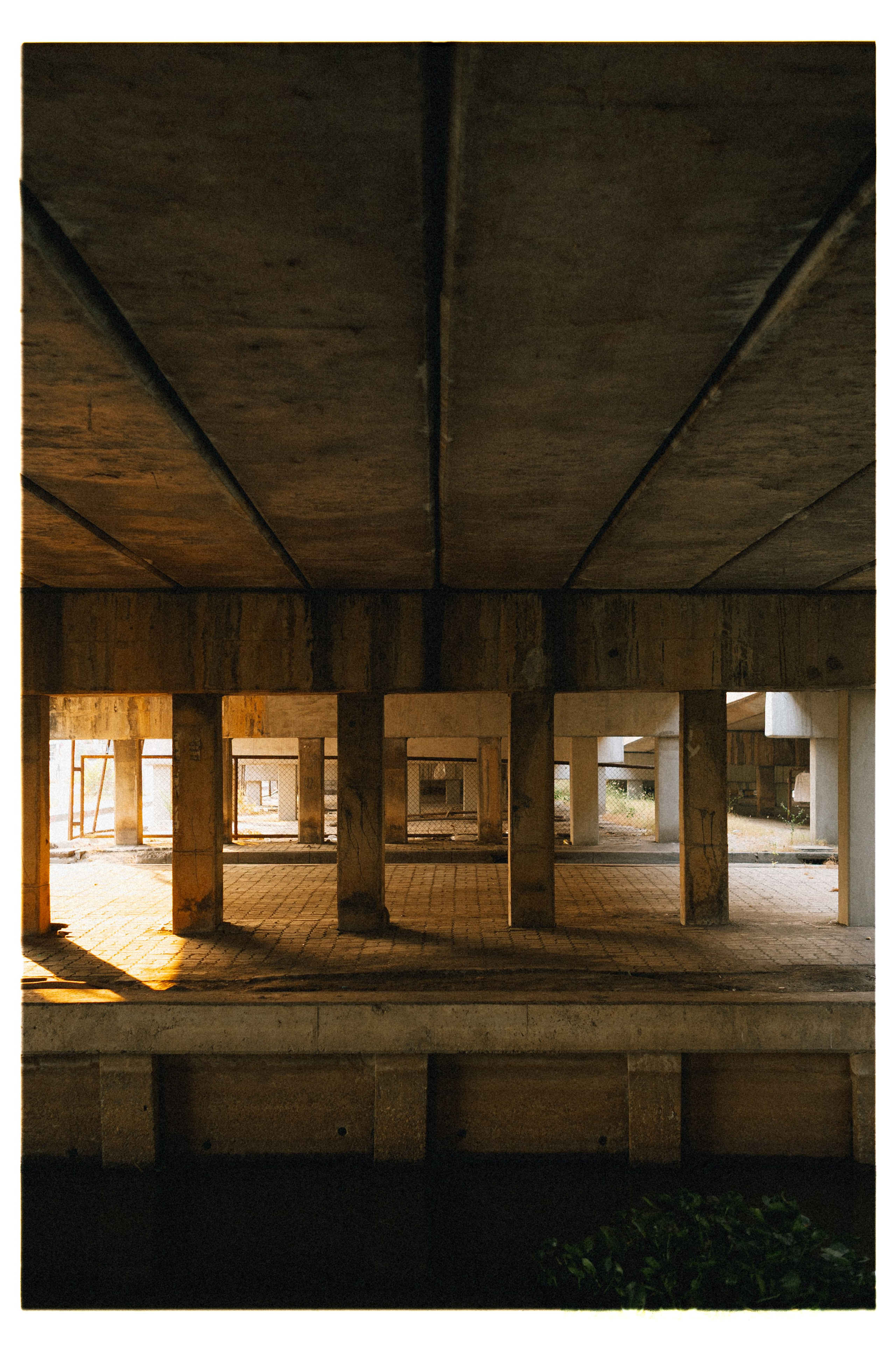 PAHNGAN 26. Свадебный и семейный фотограф Никита Корохов