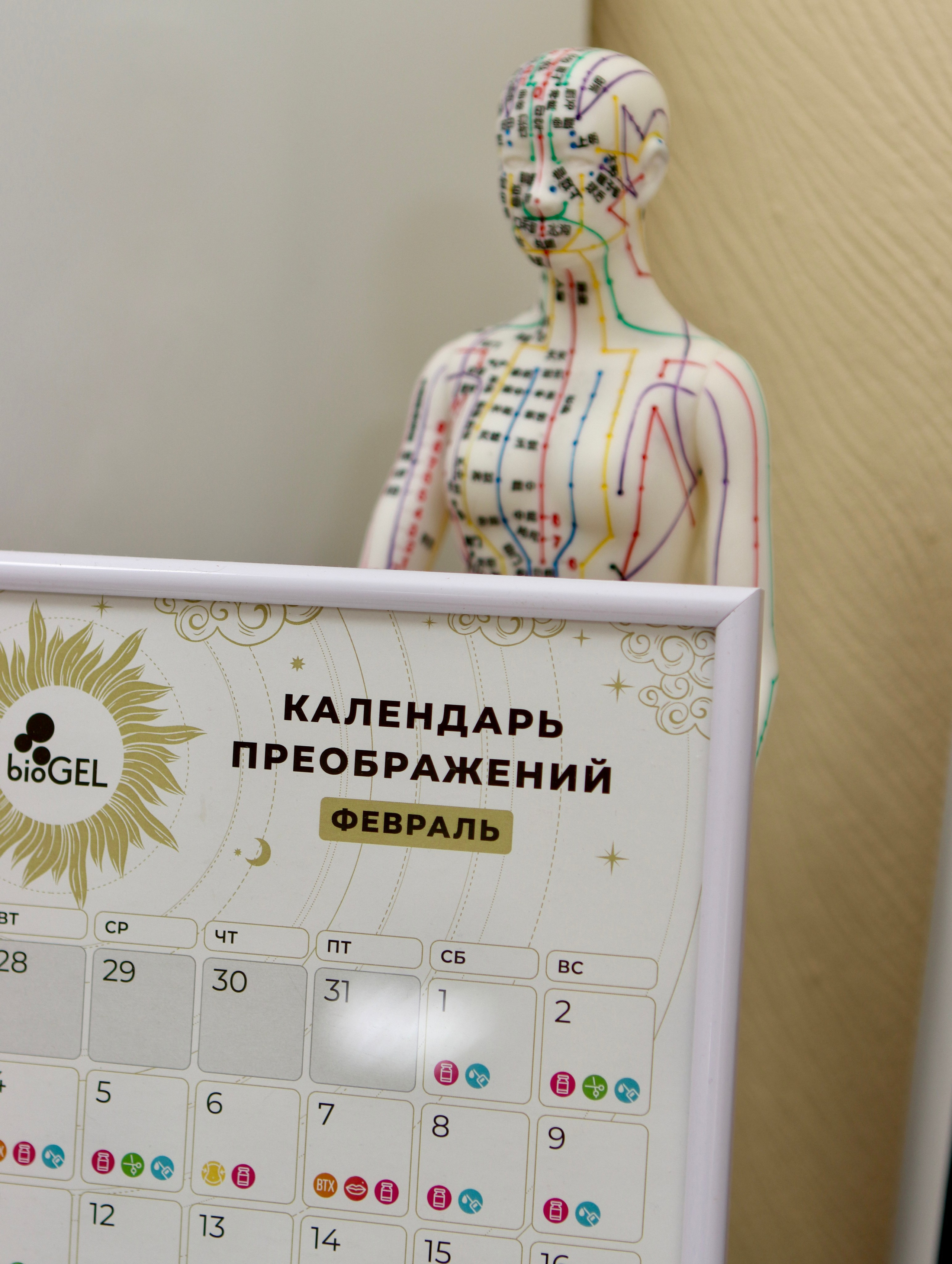 Медицинский центр «Олива». Фотограф в Курске Смирнов Евгений