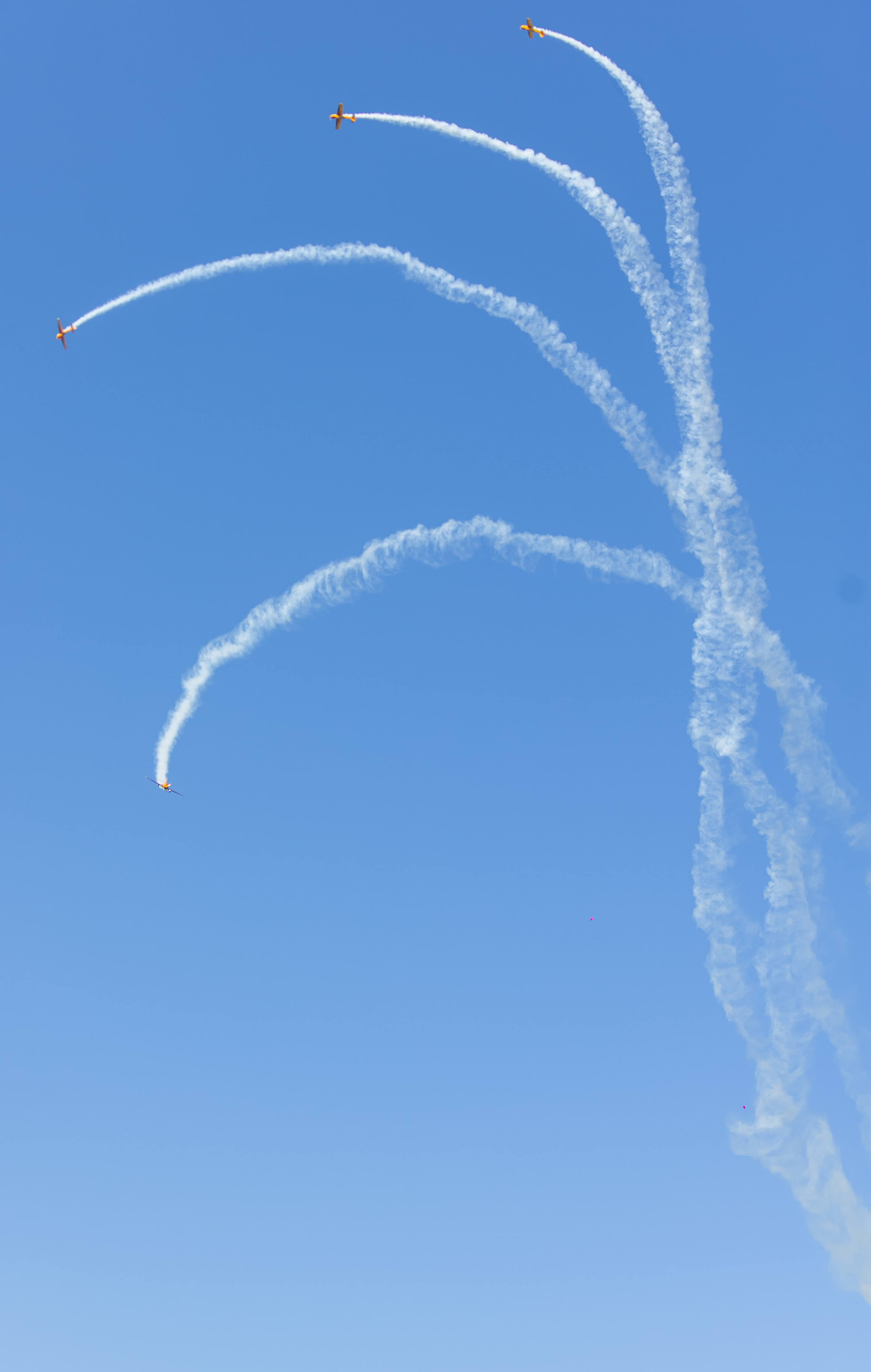 Крылья Пармы 2025 г. KATERINA VINOKUROVA ФОТОГРАФ ПЕРМЬ