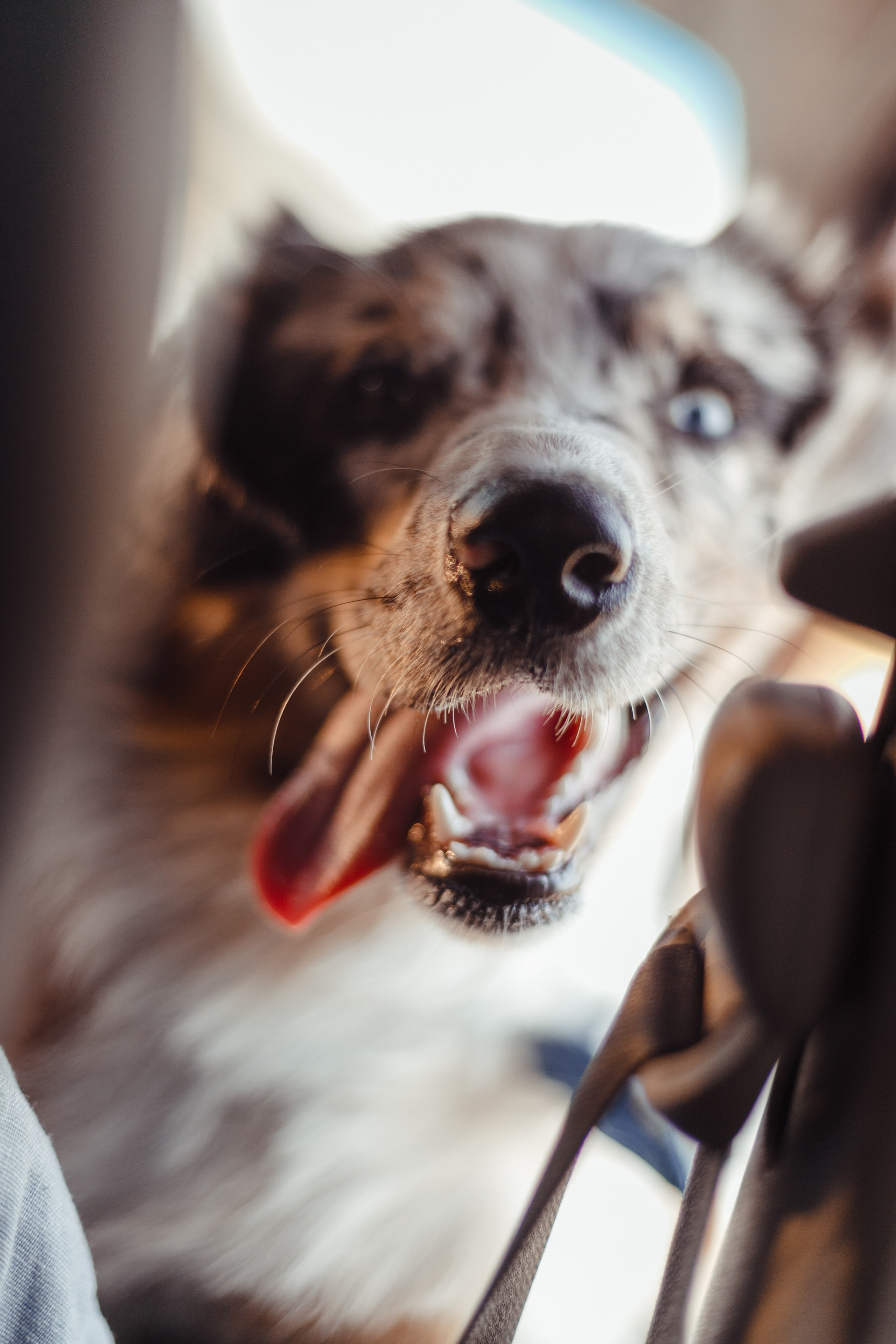 Mike. PHOTOGRAPHER romanoff-egor