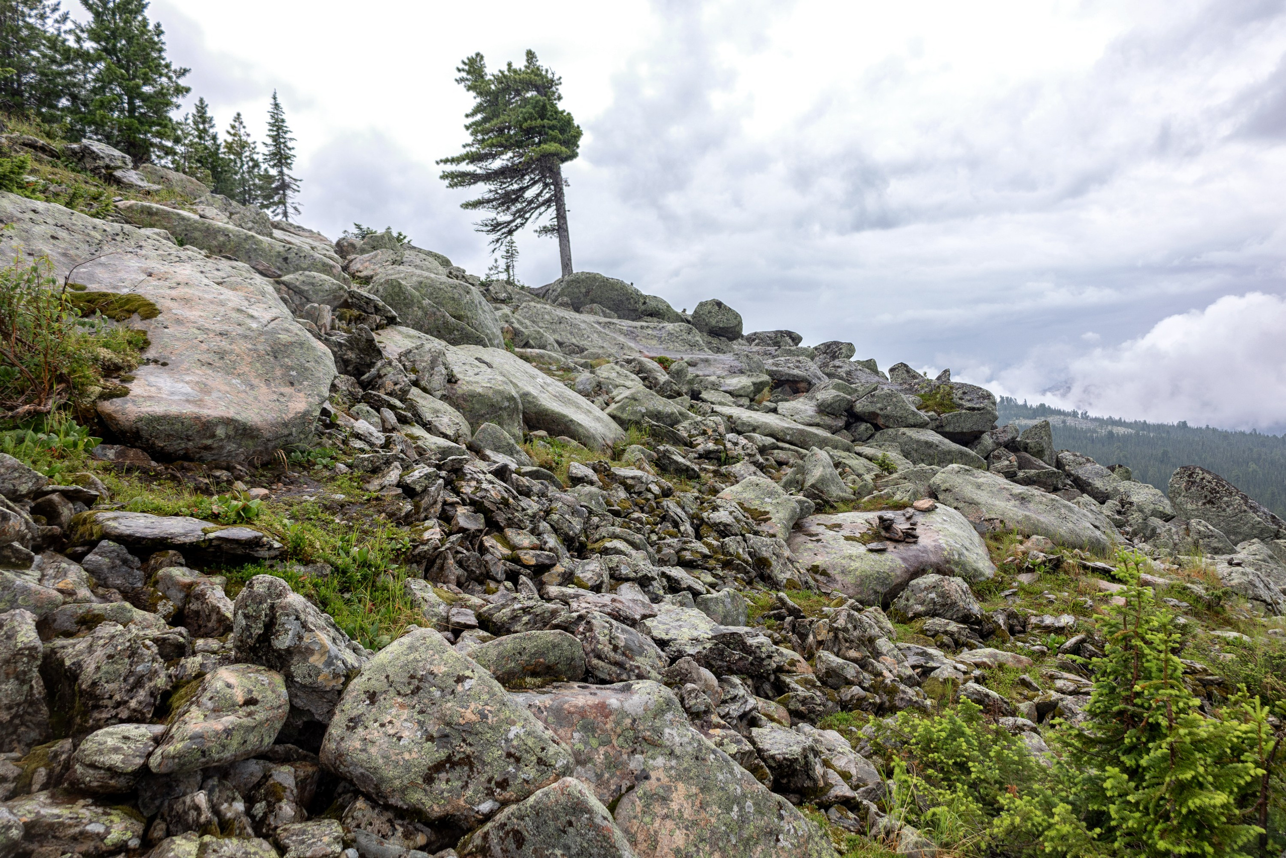 Ергаки. Семейный и детский фотограф в Красноярске, Дивногорцева Светлана
