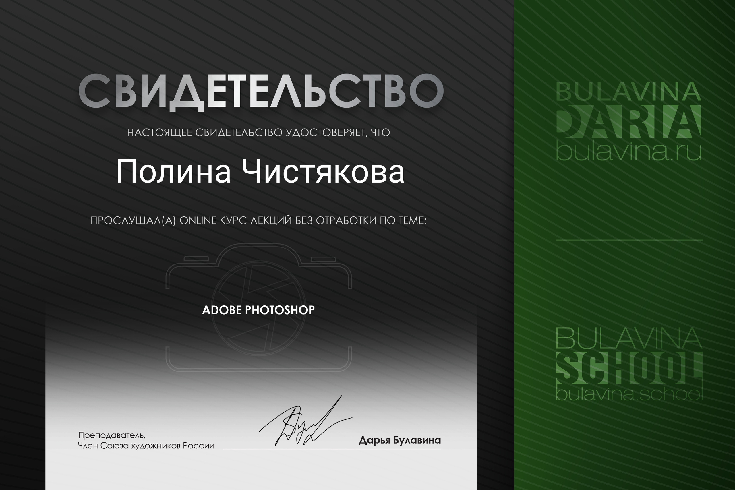 Мои достижения. Фотограф в г. Ярославле. Полина Чистякова