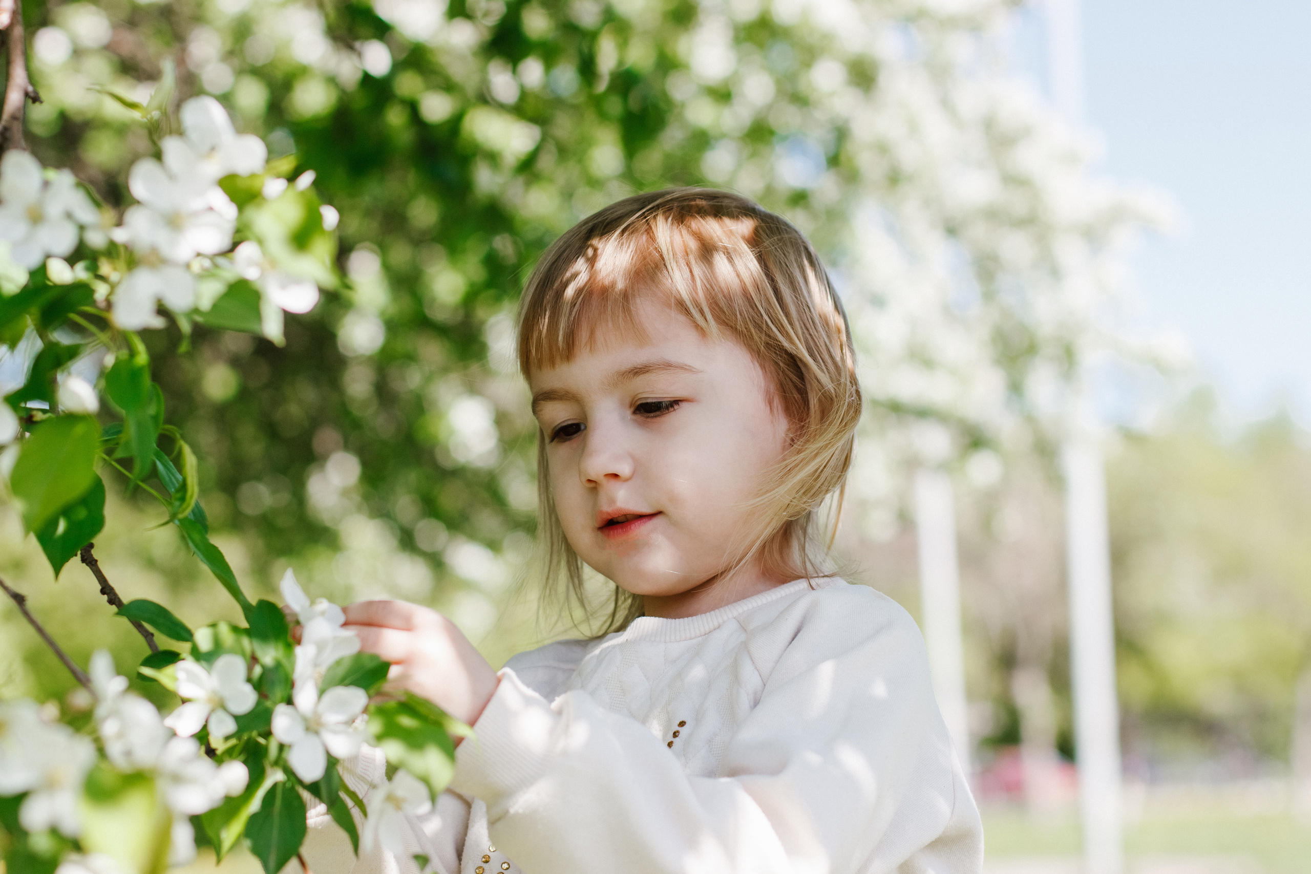 Фотосессия с цветущими яблонями. Контентный фотограф в Перми Натали Кытманова