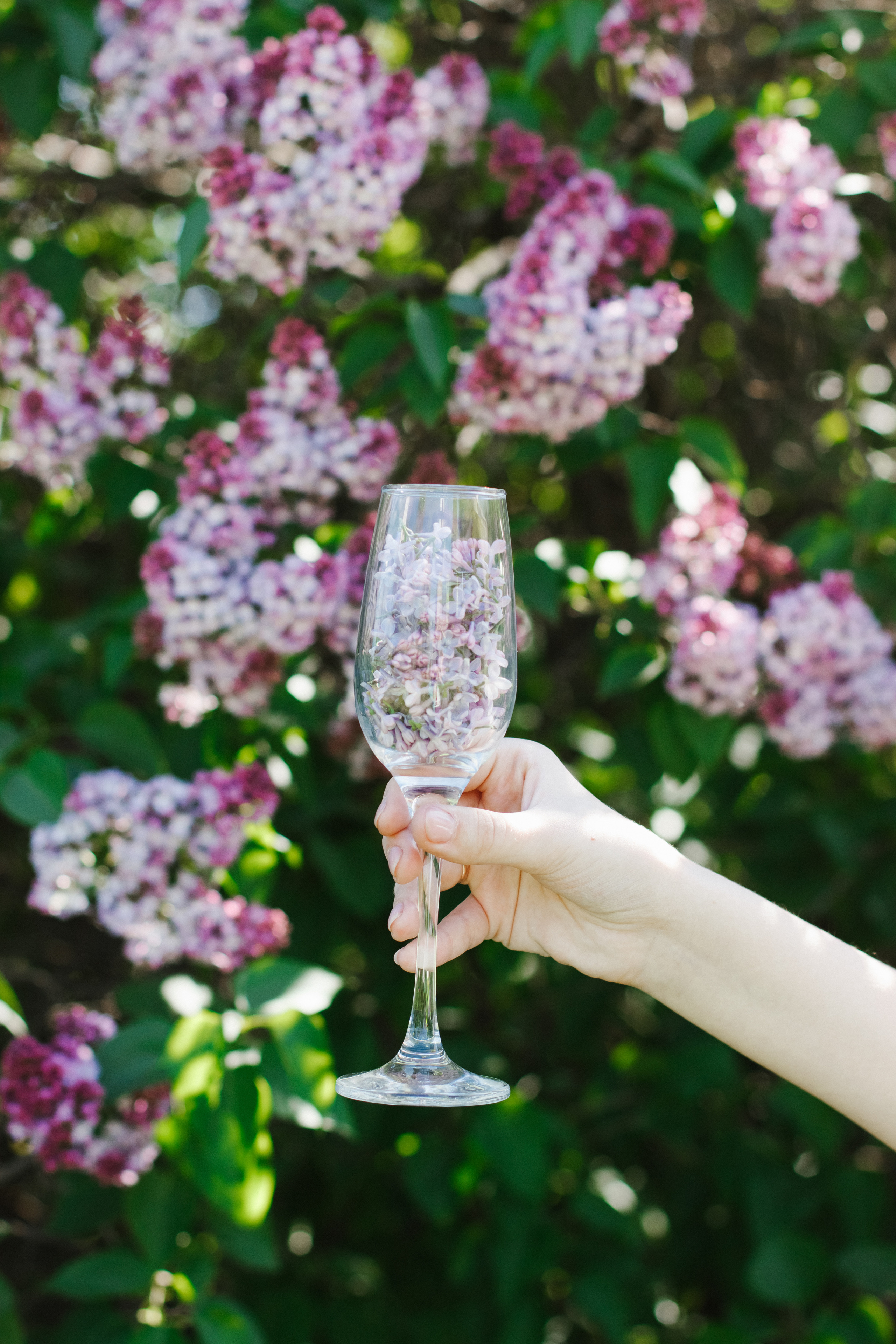 Фотосессия с цветущей сиренью. Контентный фотограф в Перми Натали Кытманова