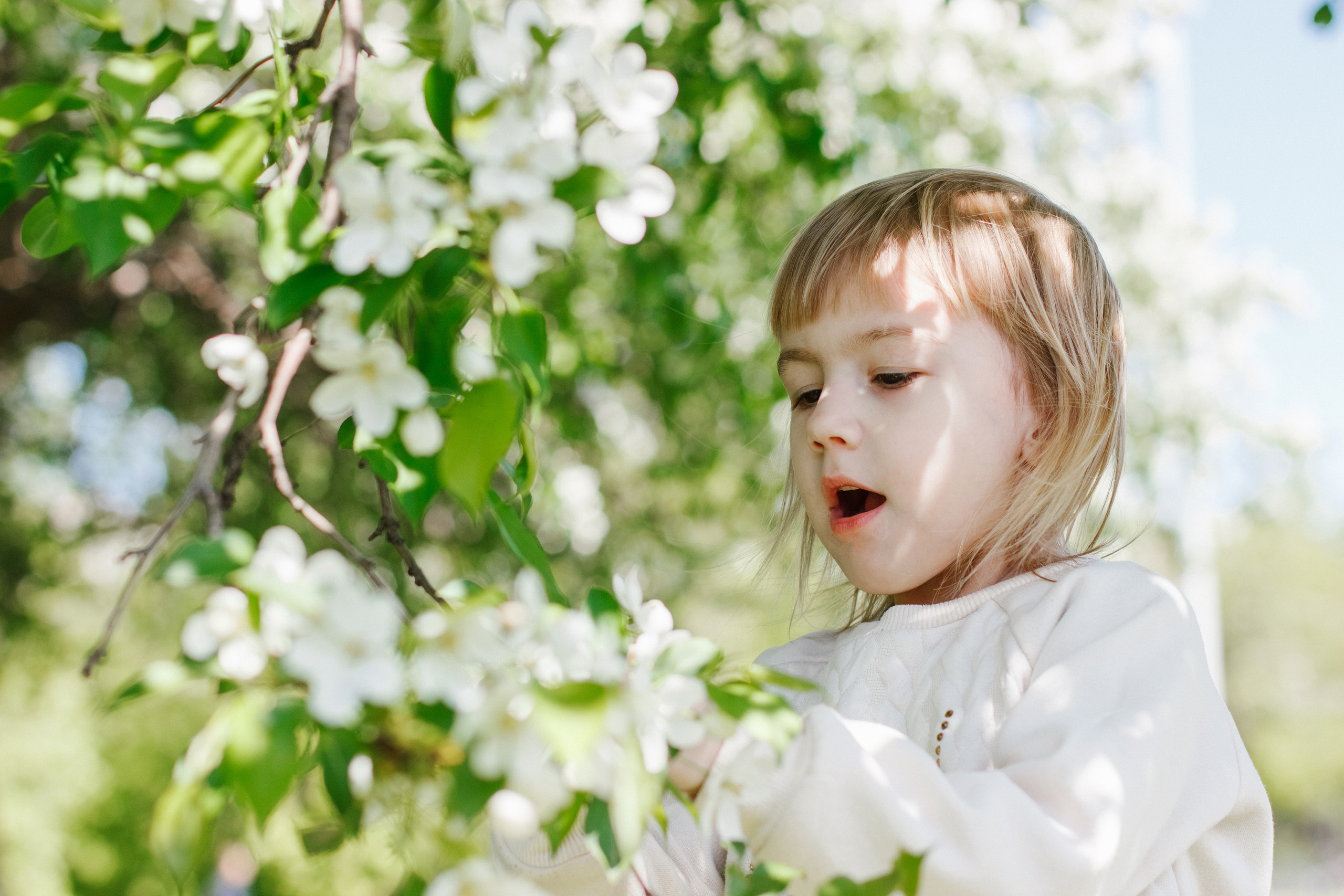 Фотосессия с цветущими яблонями. Контентный фотограф в Перми Натали Кытманова