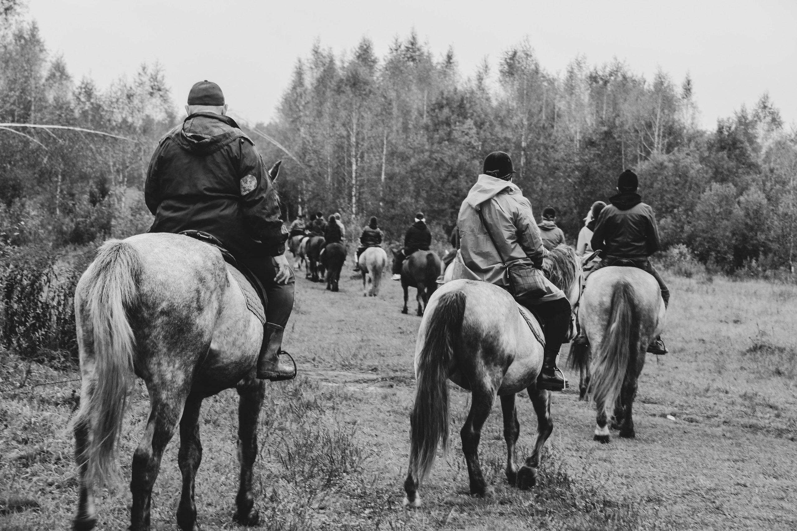 Лошадинг | 27.09.2025. Галерея Фантим