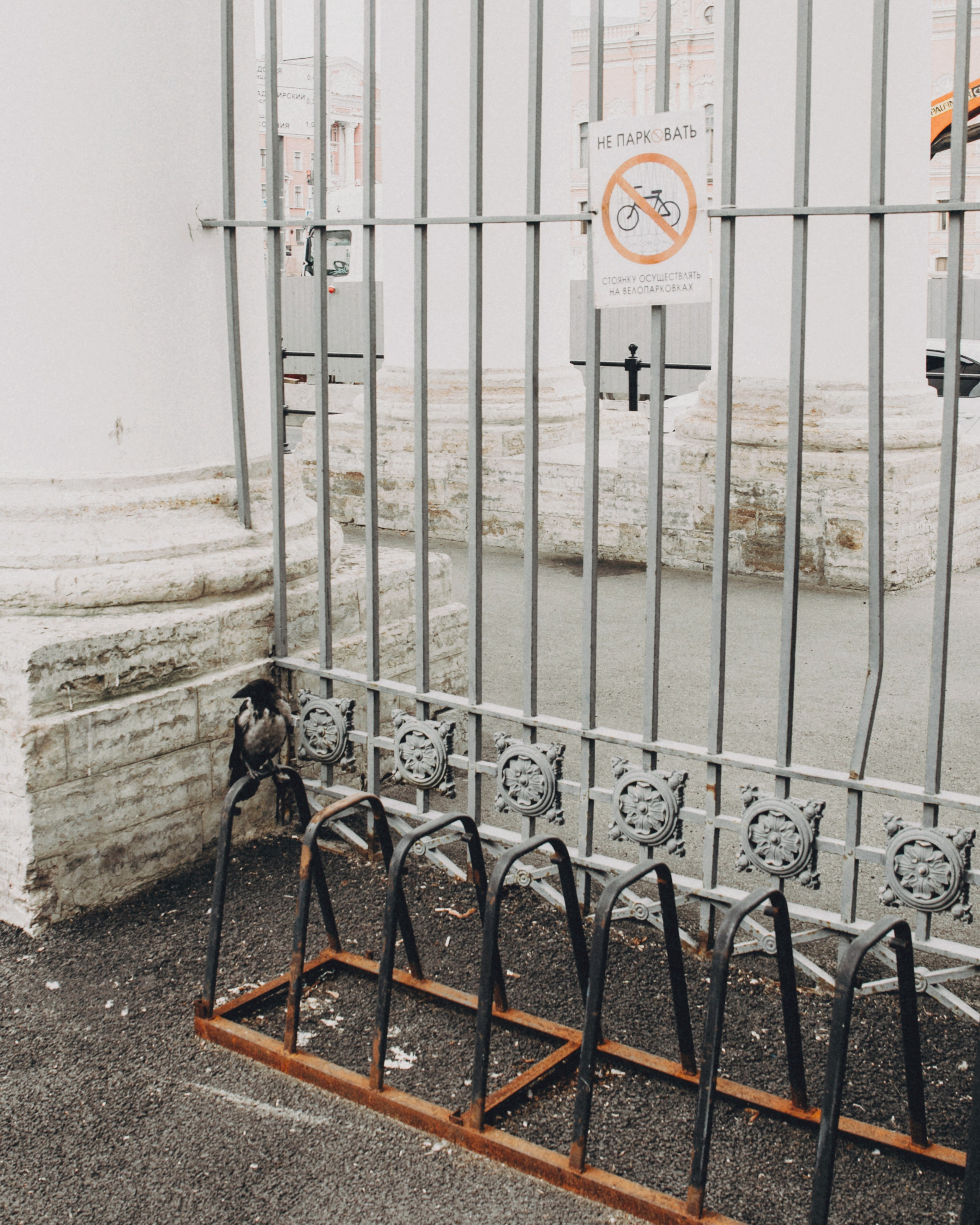 Катерина. Портретный фотограф Ванинен Анастасия. Санкт-Петербург