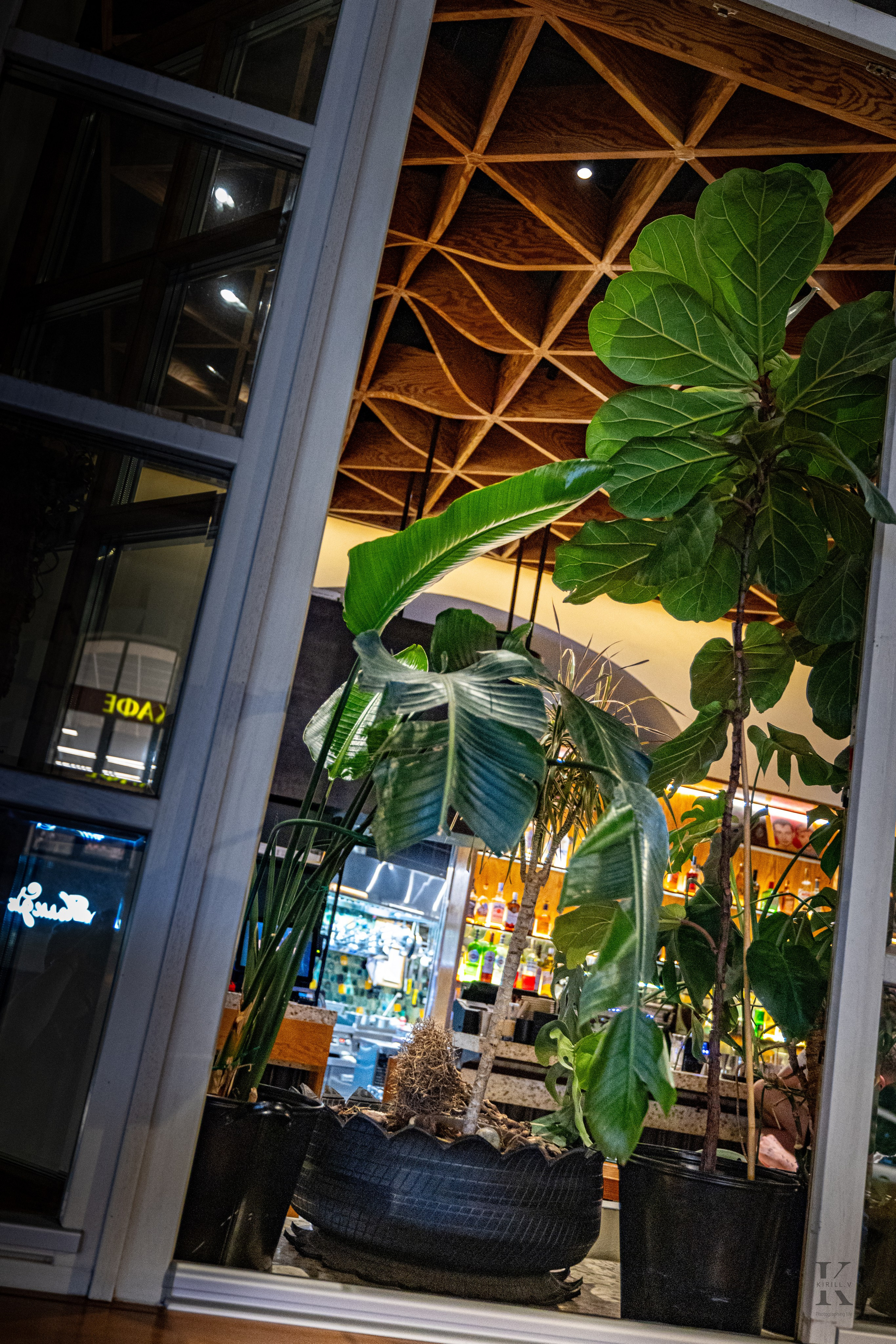 Мой Взгляд!. Фотографирую жизнь! Московский фотограф волонтер