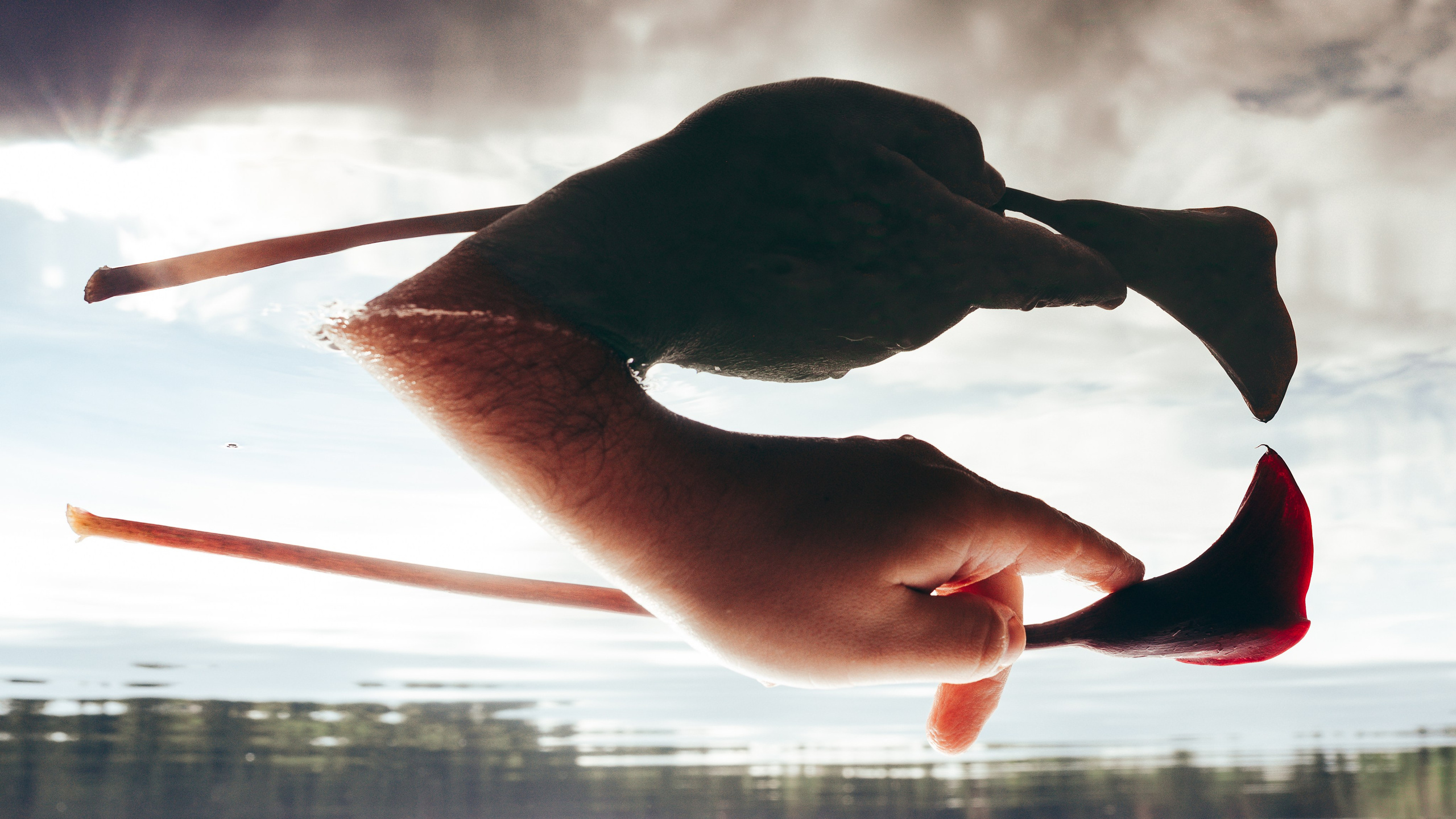 Галерея. Фотоведьма Дарья Нечинская