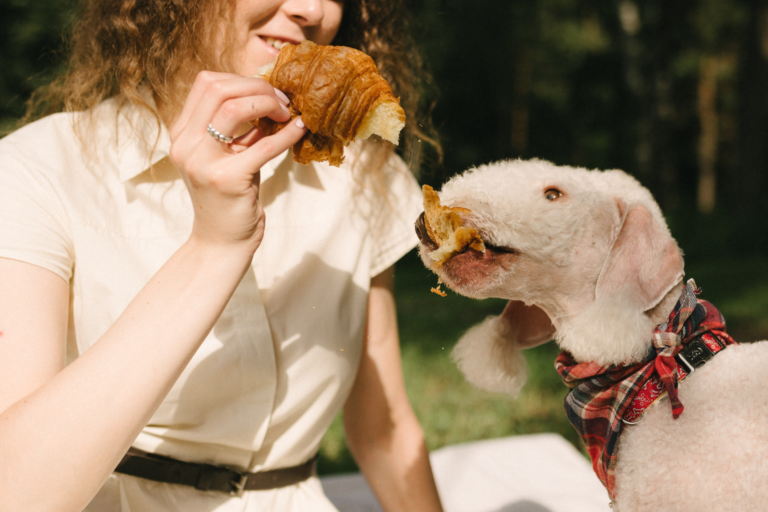 Лиза и Каспер. Фотограф анималист в Москве Ольга Агушева