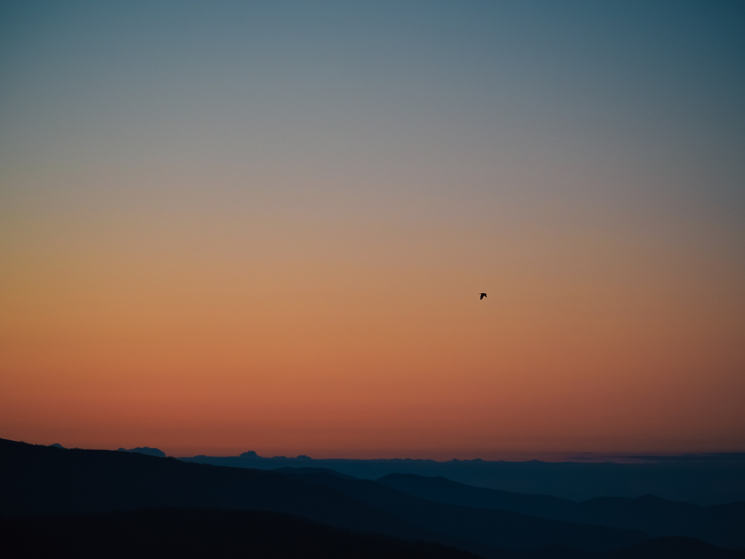 Градиенты. Репортажный фотограф в Берлине Александра Герман