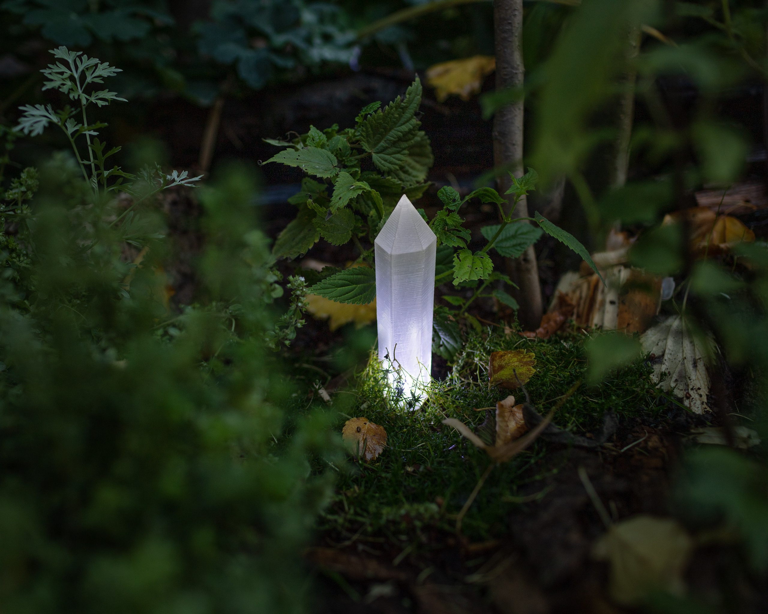 Декоративный ландшафтный свет TEMPARIUM. Фотограф Наталья Молчанова