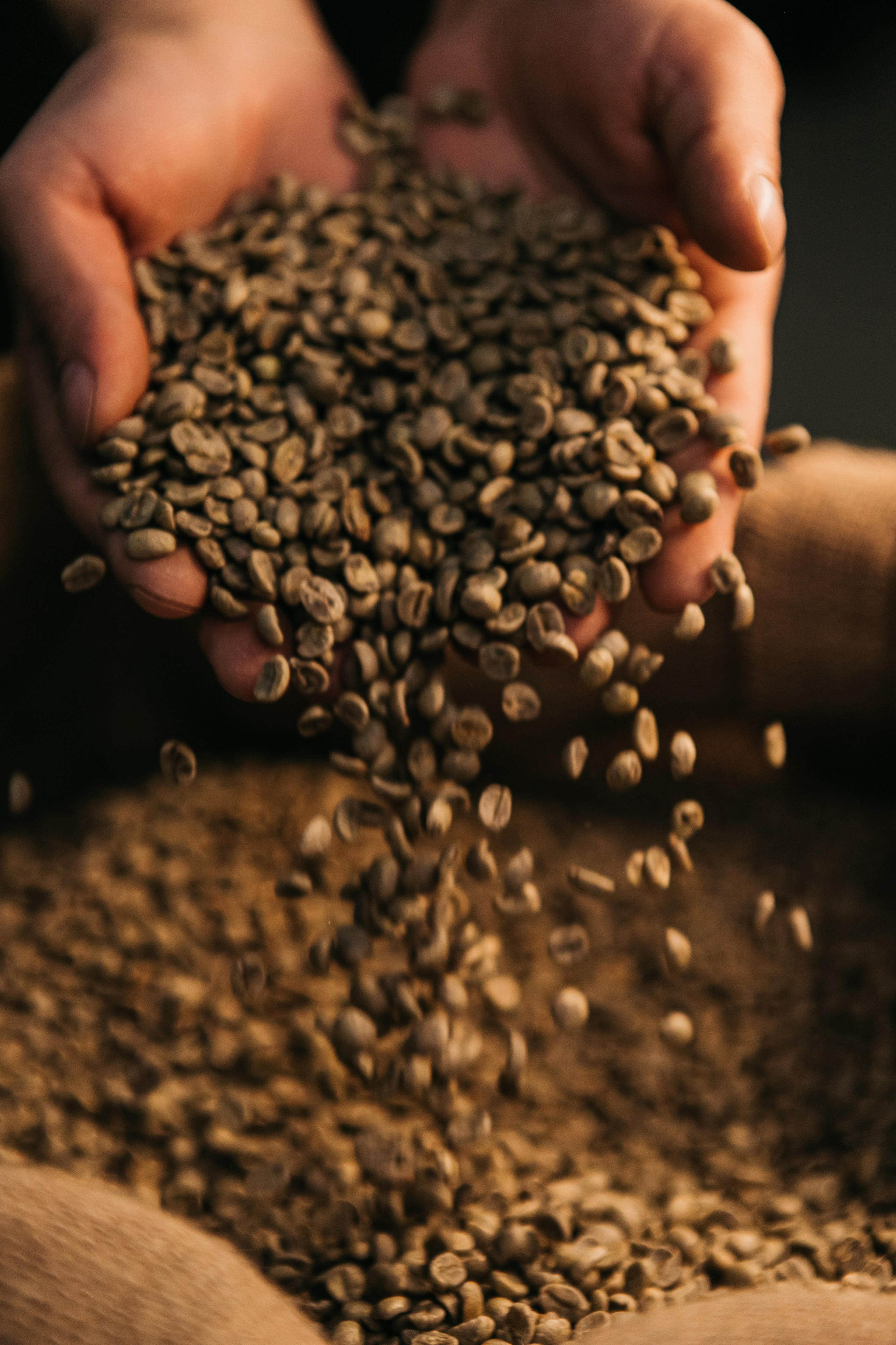 Фото и видео для бизнеса Обнинск, Калуга, Москва