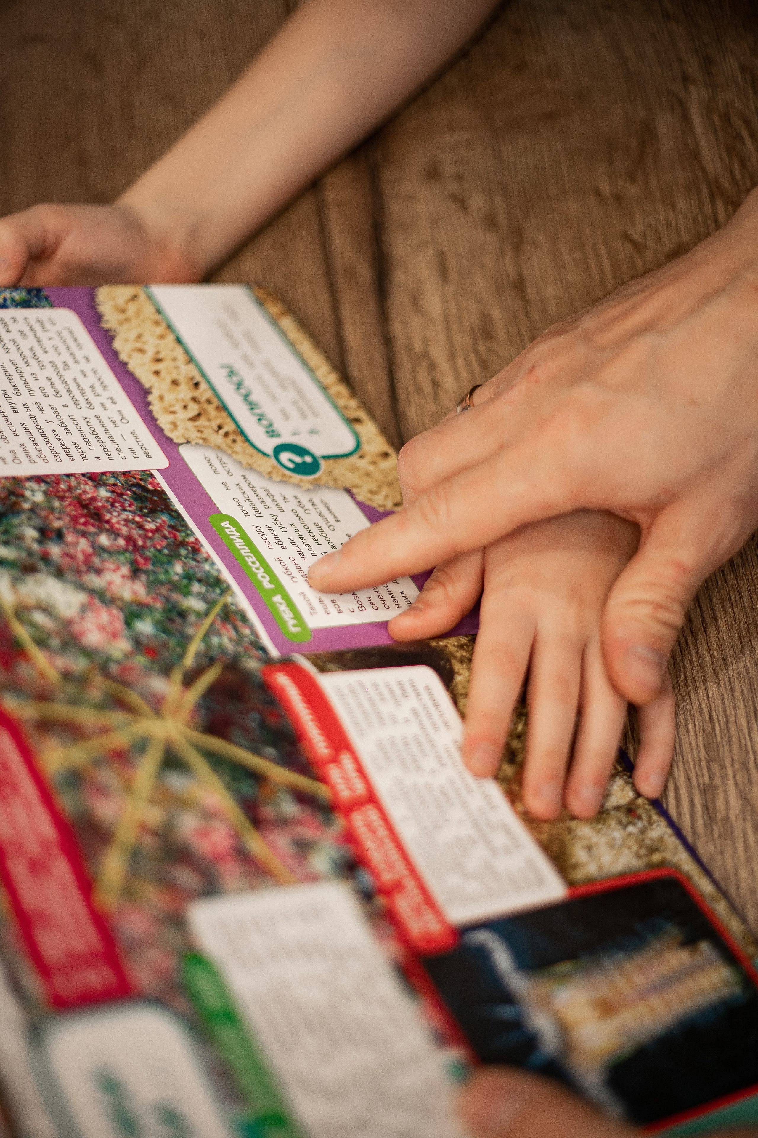 Совместный завтрак. Семейная съемка — это красивый способ признаться своей семье в любви