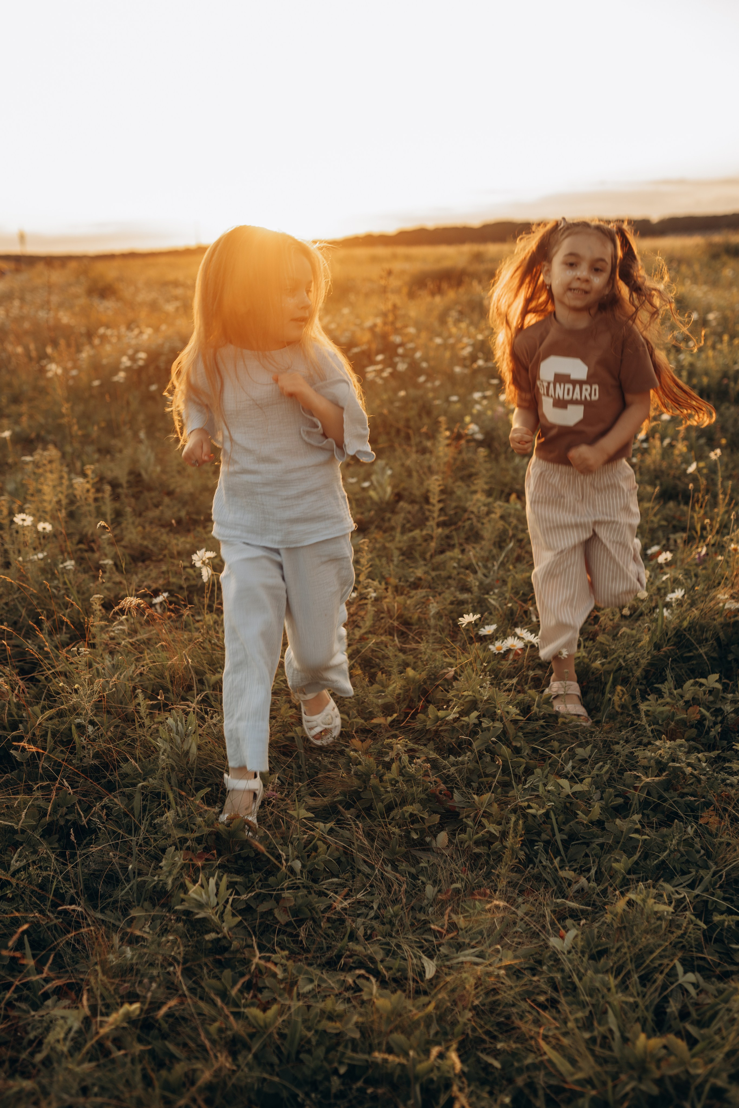 Закат на ромашковом поле. Фотограф в Ставрополе Svetlana Matveeva