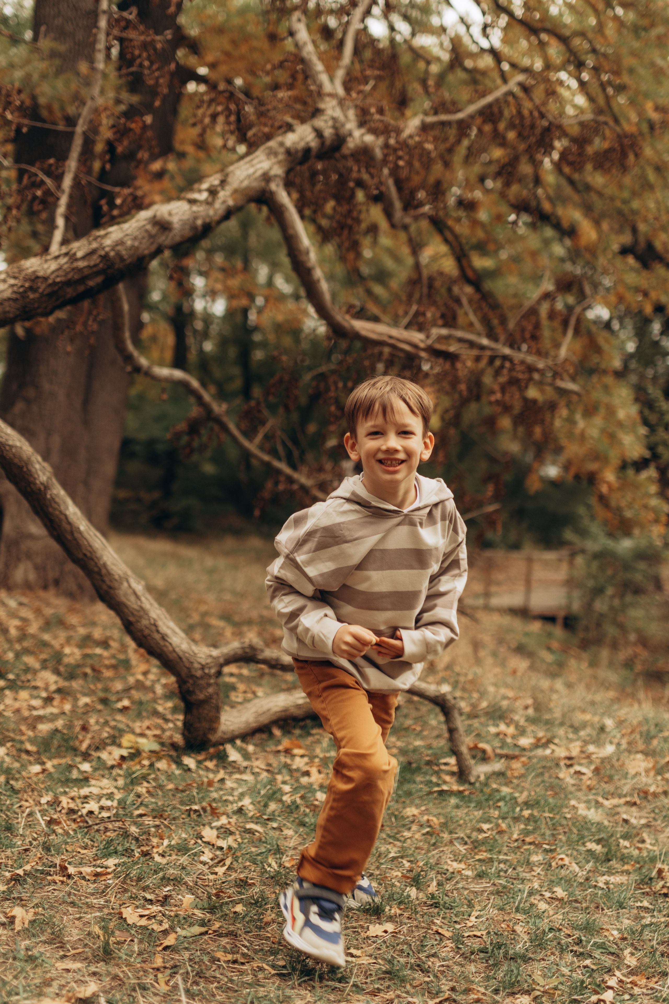 Осенняя фотосессия в ожидании чуда. Фотограф в Ставрополе Svetlana Matveeva
