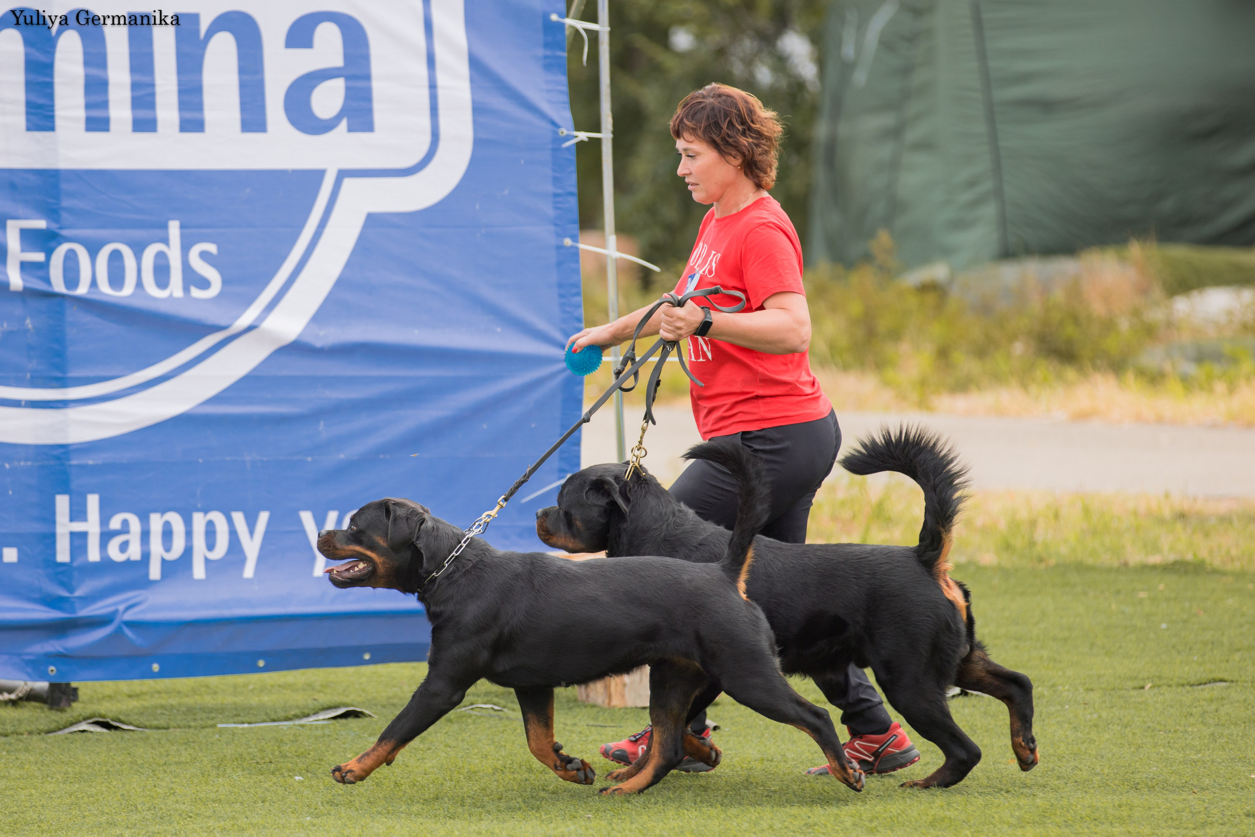 Анапа 16-17.09.2023 моно ротвейлеров. Фотограф-анималист Юлия Германика