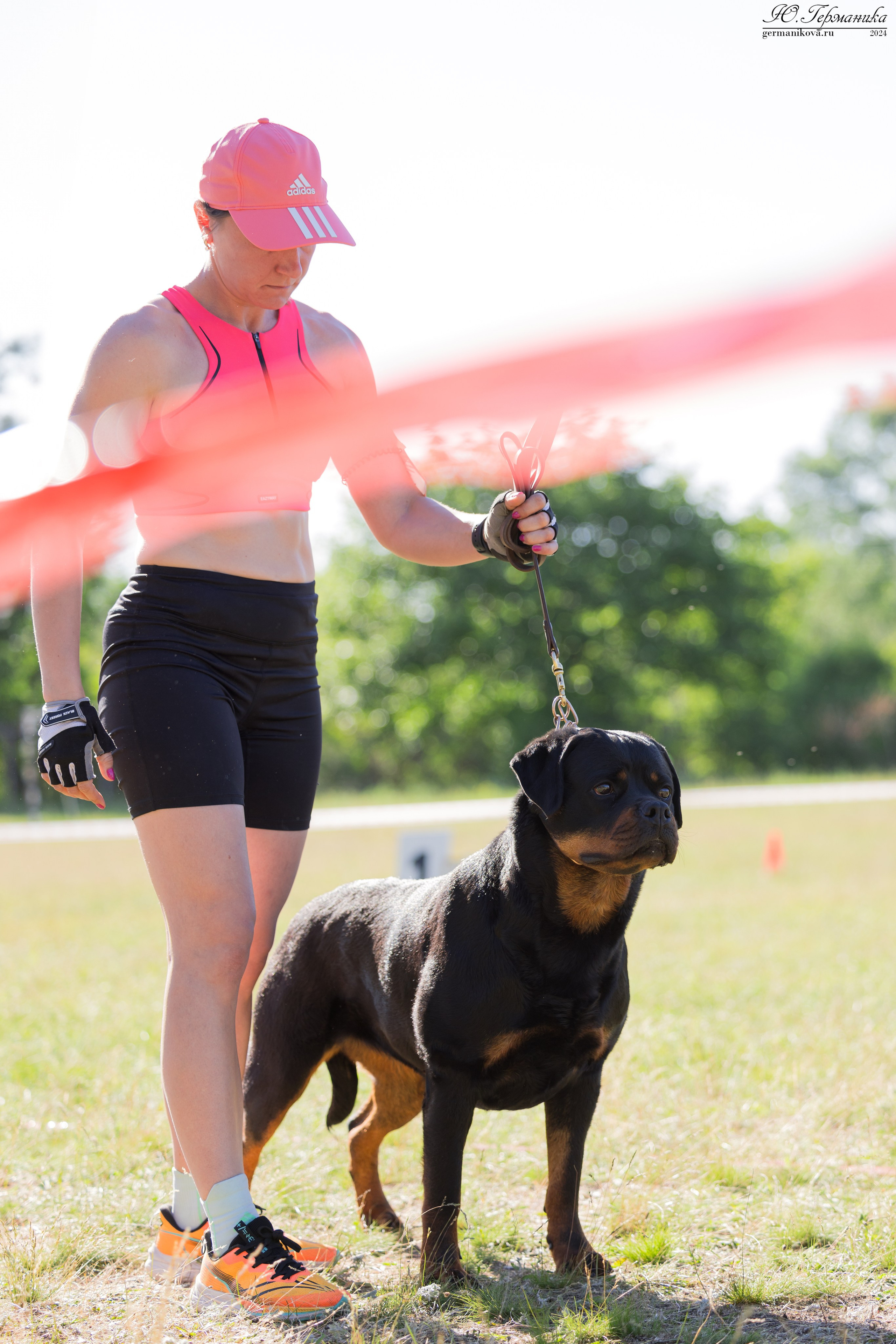 Воронеж моно ротвейлеров 25-26.05.2024. Фотограф-анималист Юлия Германика