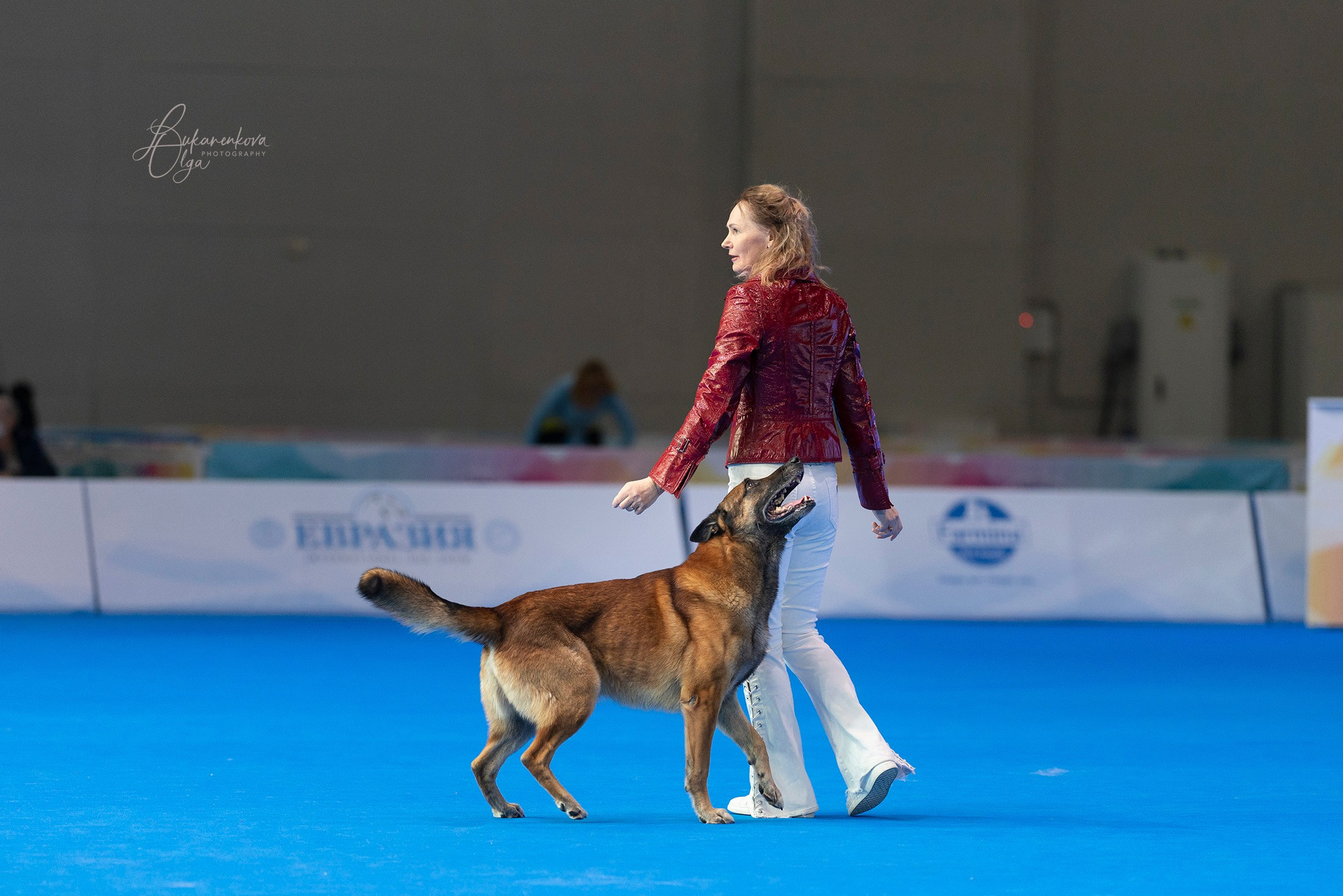 Танцы. Фотограф анималист Ольга Луканенкова в Москве