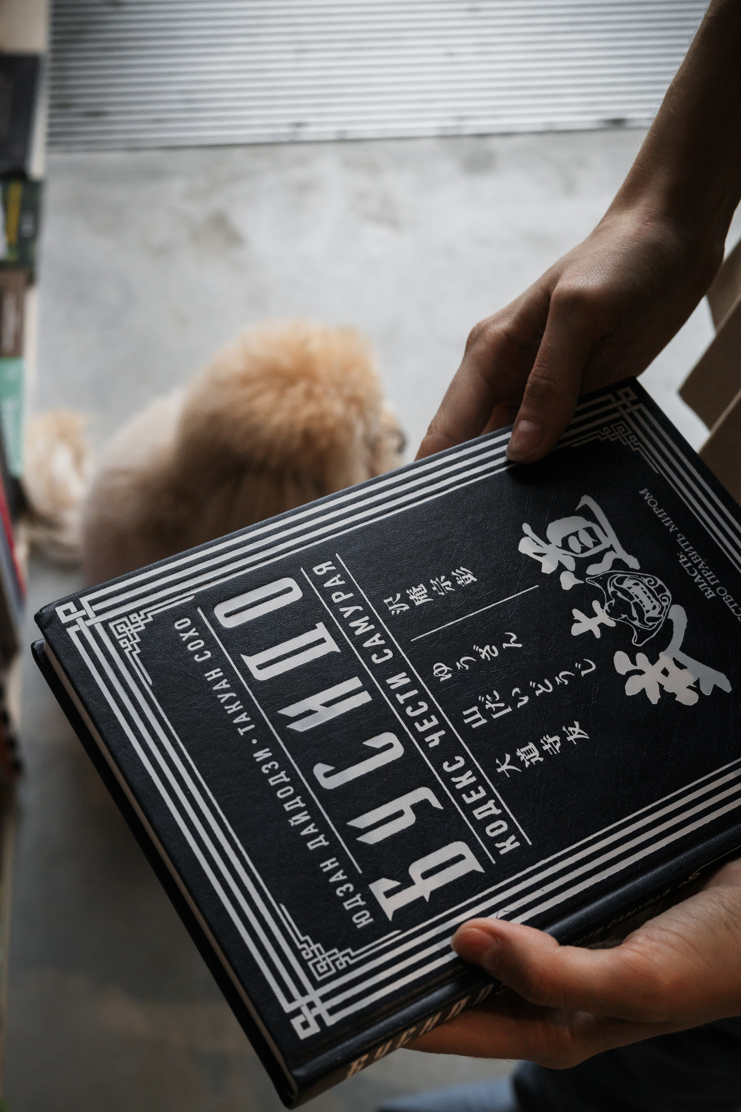 Алина — прогулка