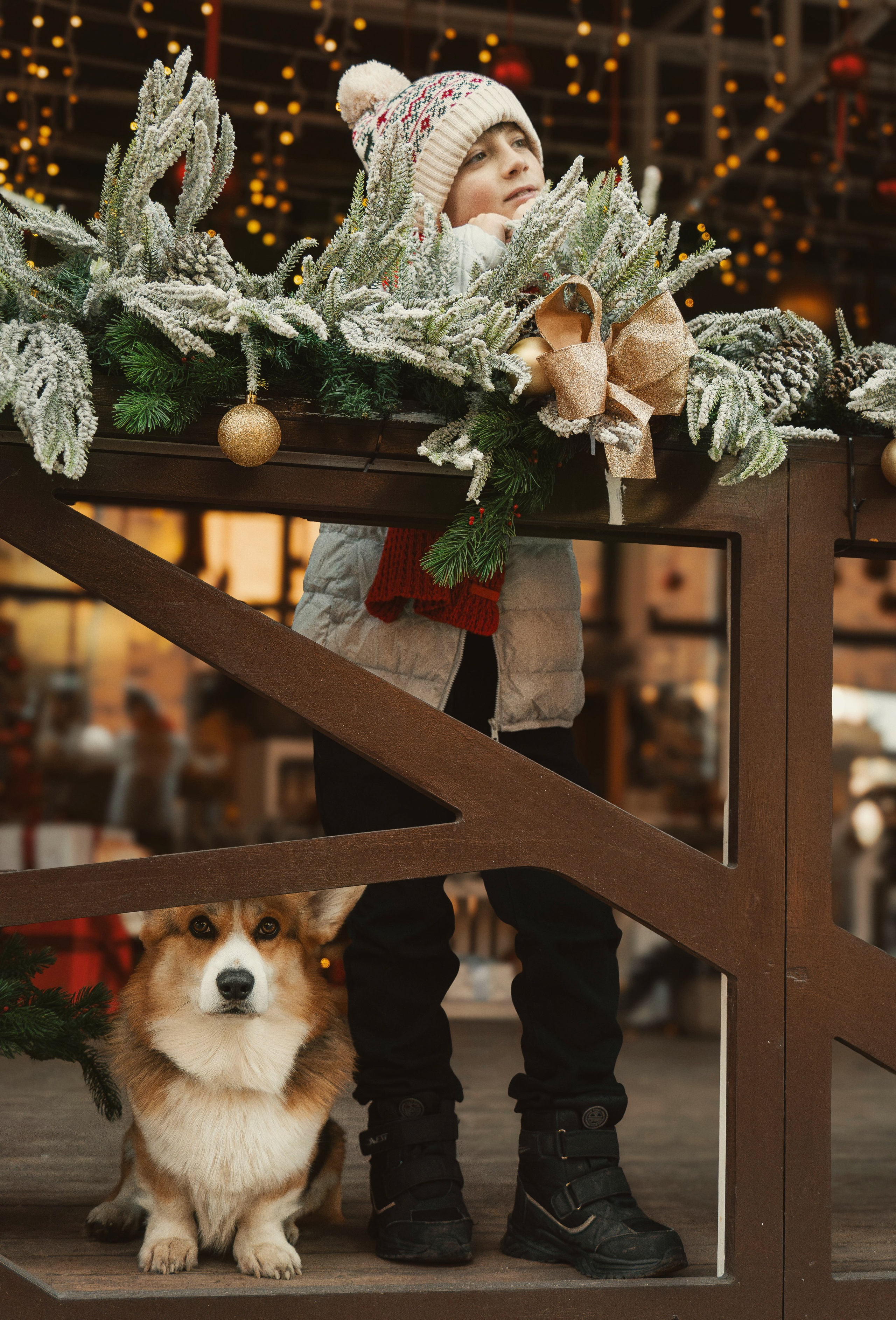 Один дома. Семейный фотограф анималист г. Находка