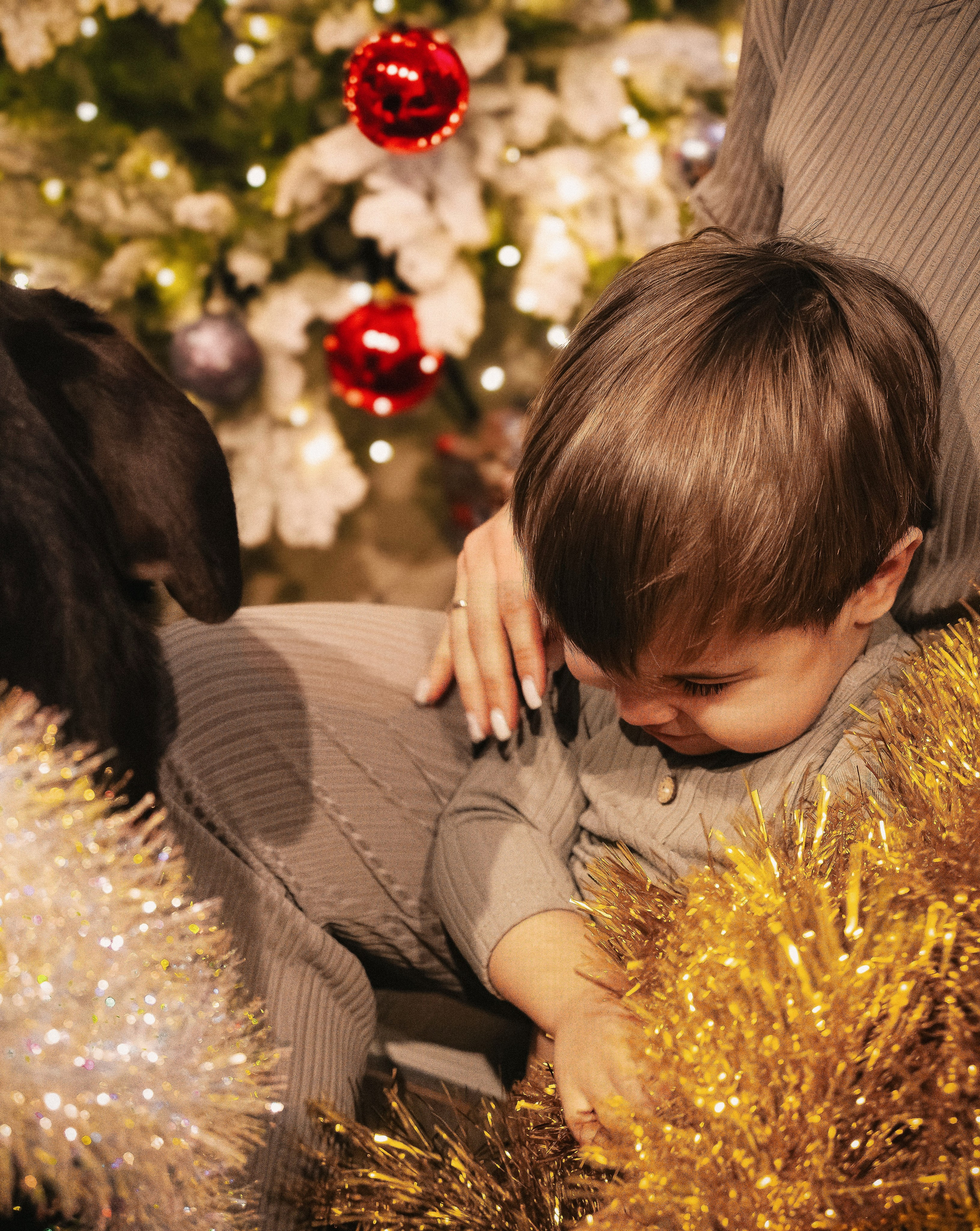 Волшебство. Семейный фотограф анималист г. Находка