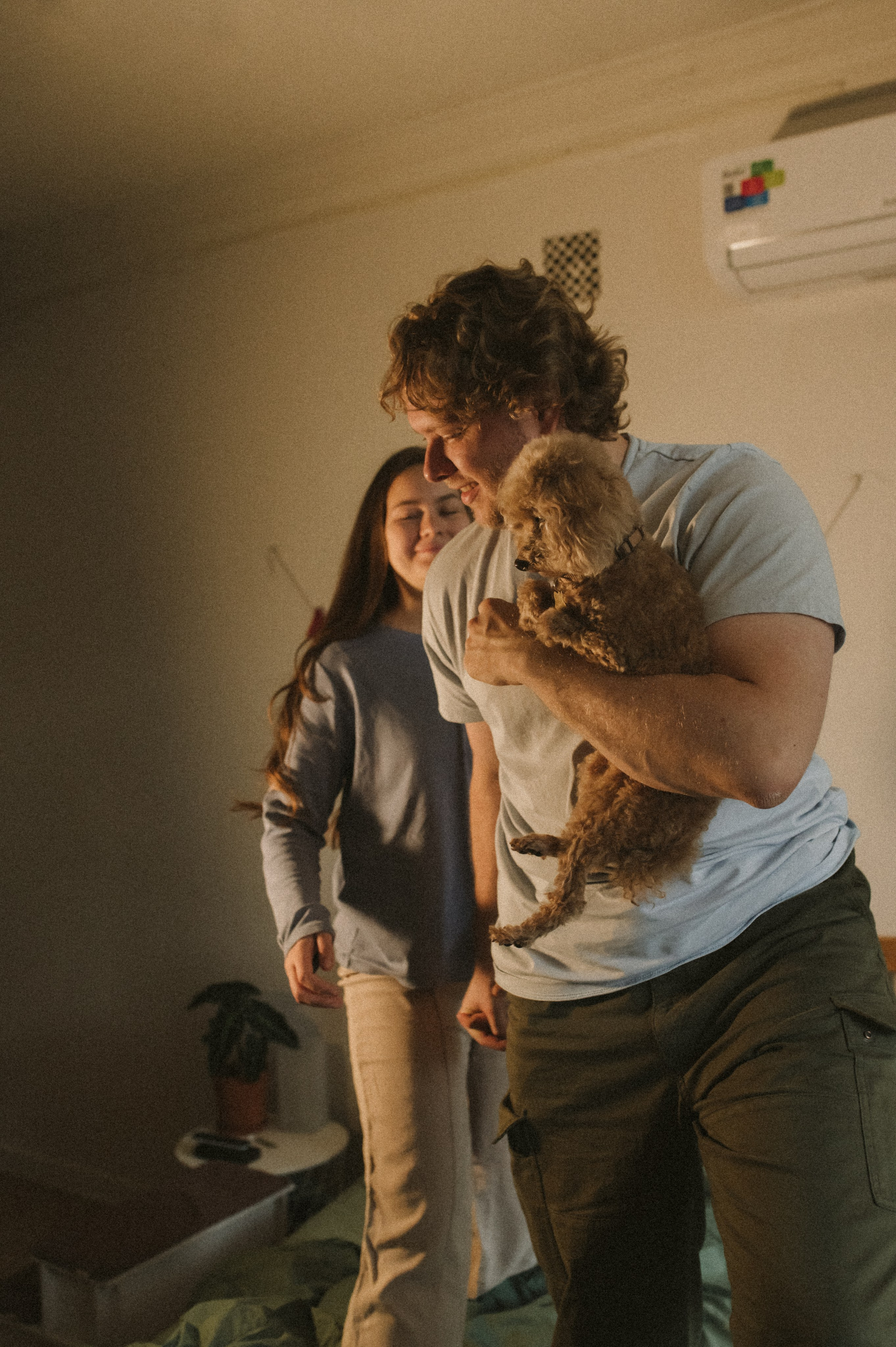 Ання и её кудрявая команда. Фотограф анималист в Москве Ольга Агушева