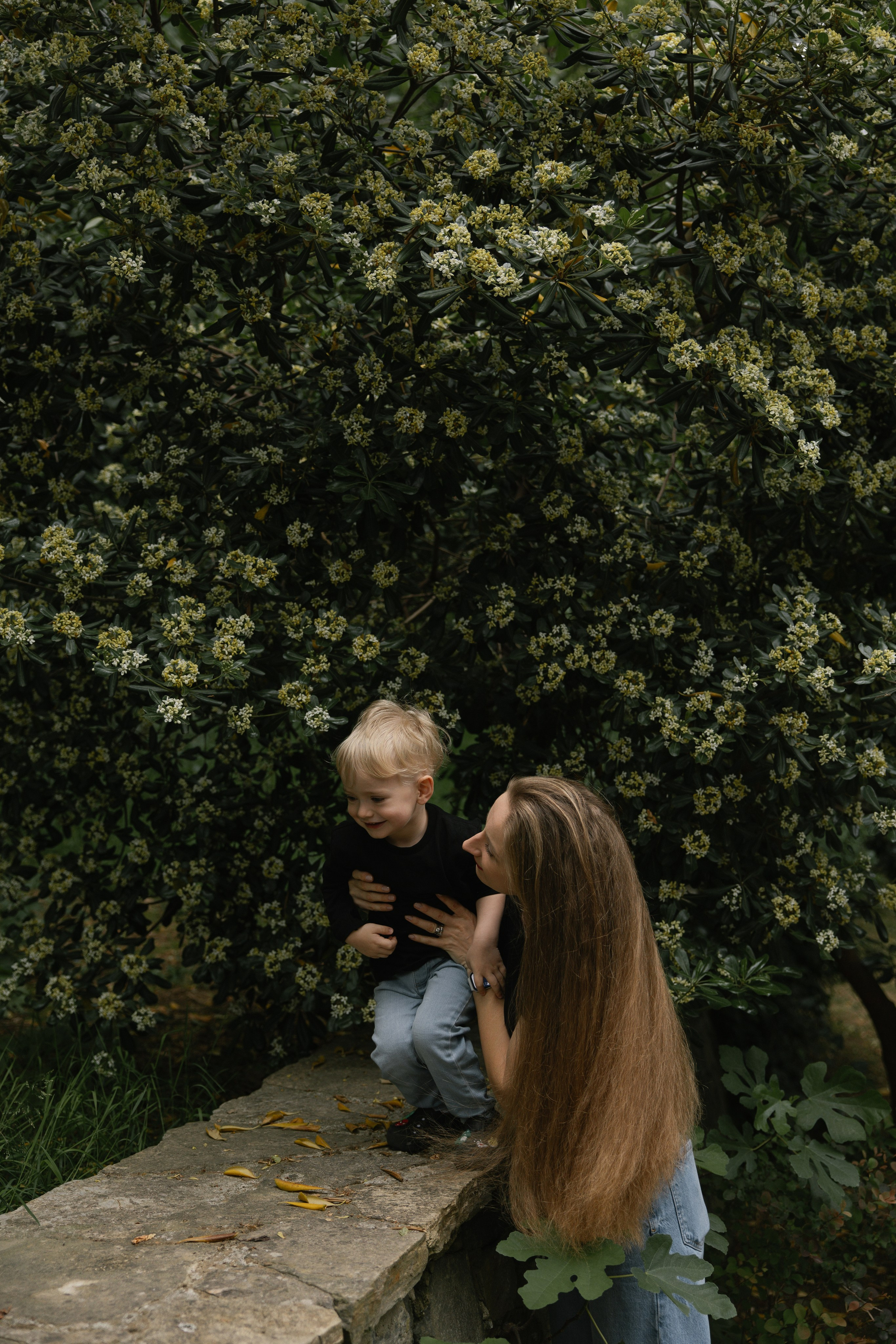 Утром в Стамбуле