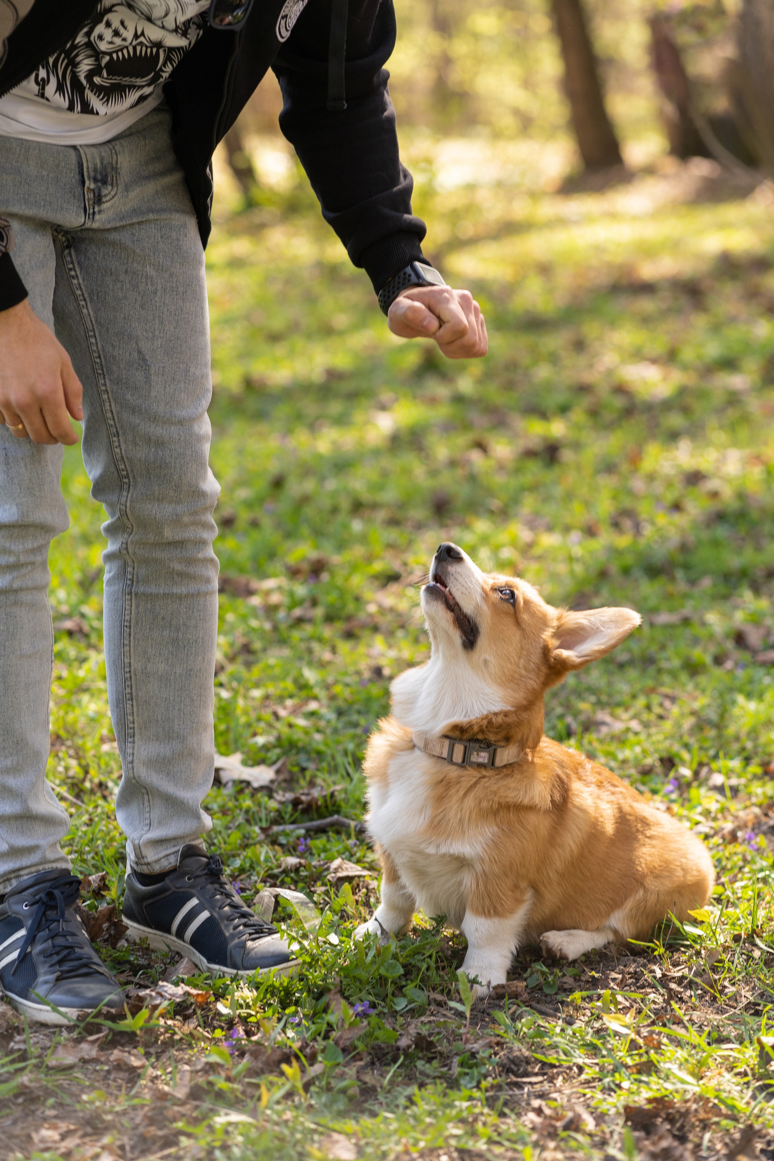 Саша, Настя, Луна. Свадебный фотограф в Москве Анна Полушина
