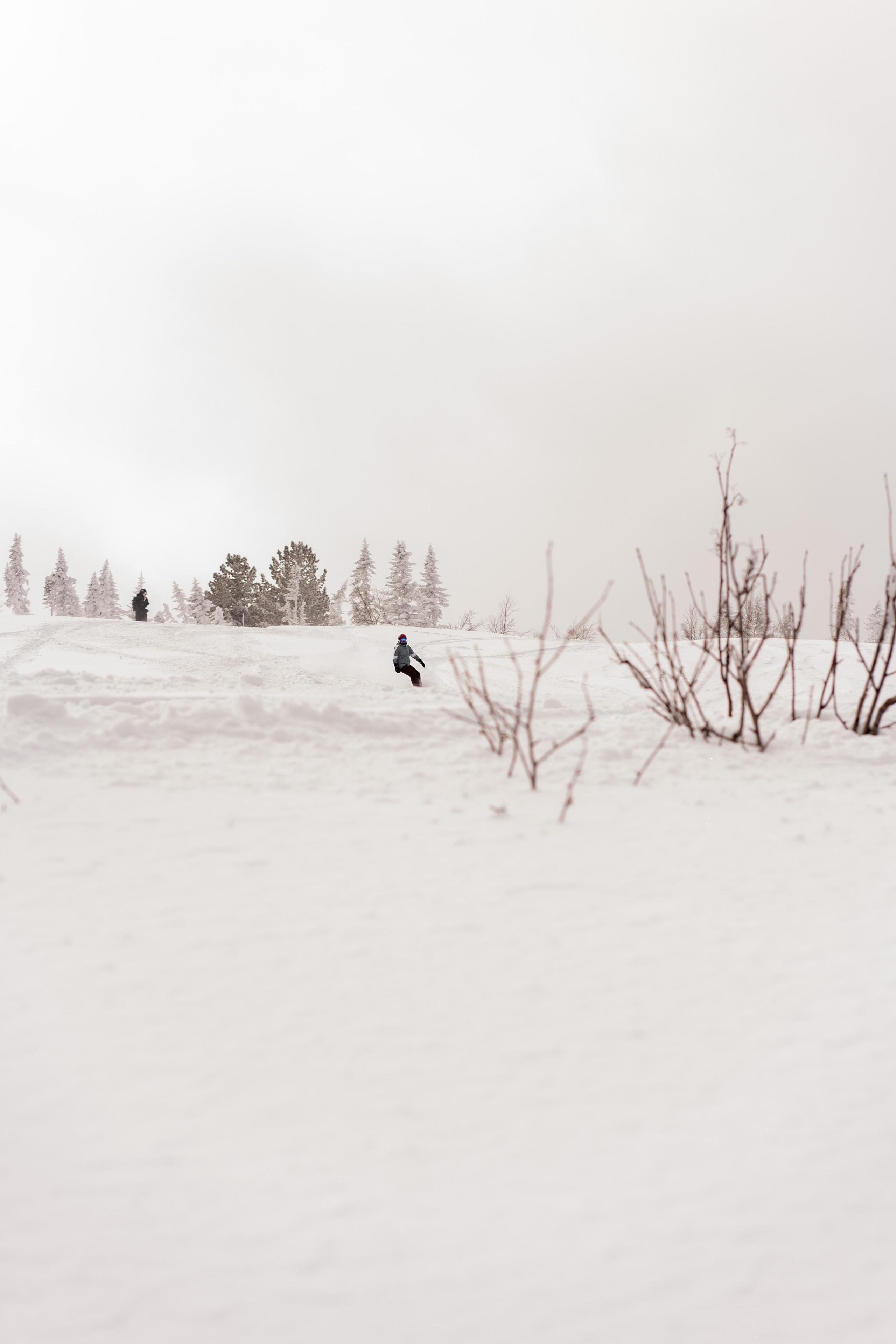 Фрирайд. Анастасия Паршукова — фотограф Шерегеш Новосибирск