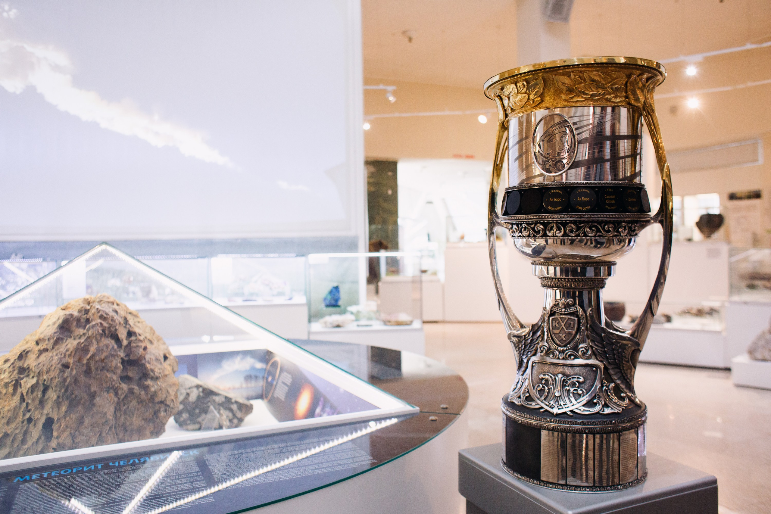 Кубок Гагарина. Татьяна Журавлева