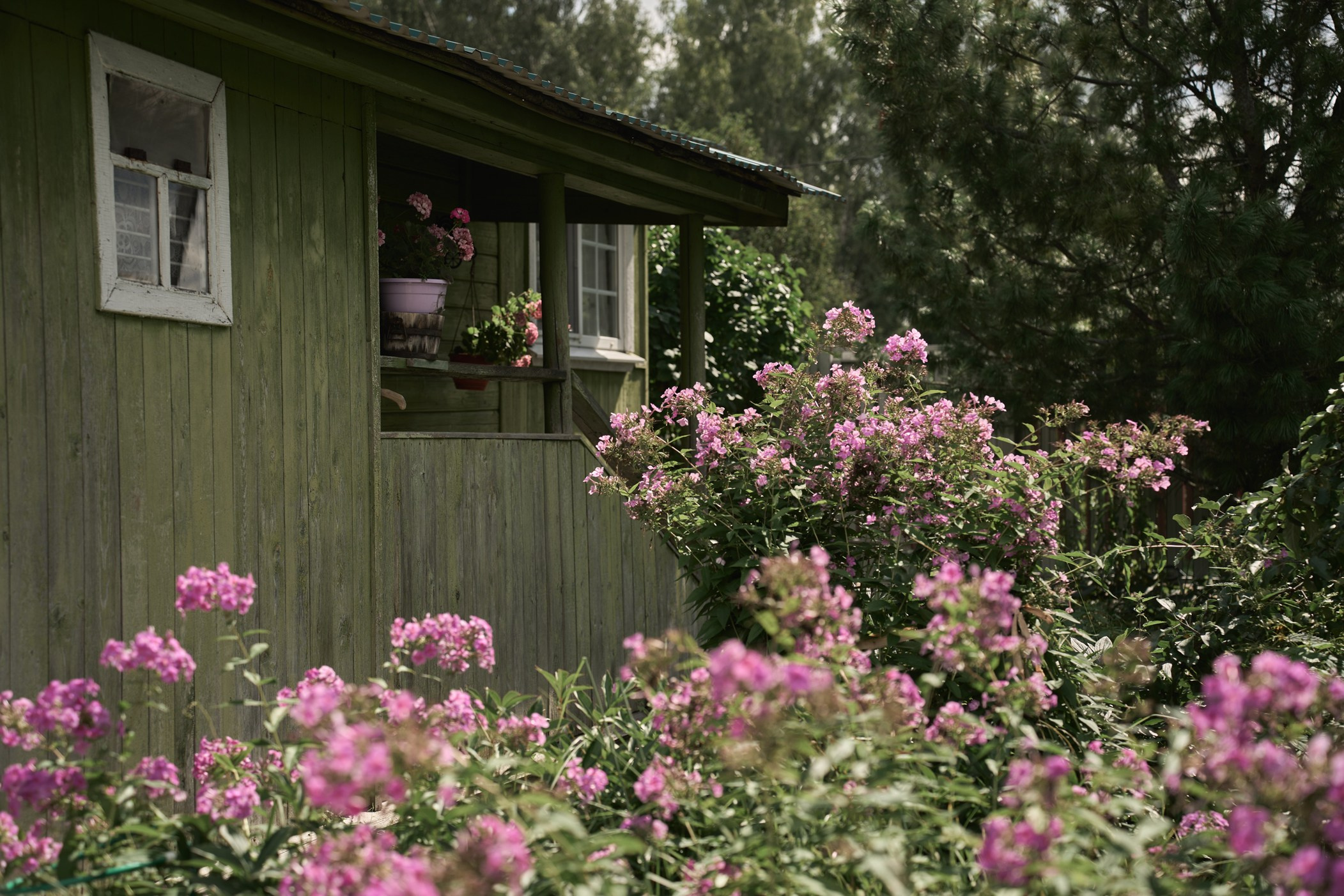 Пшеничное поле, битва Nerf и домик художницы. Фотограф Женя Пашкина