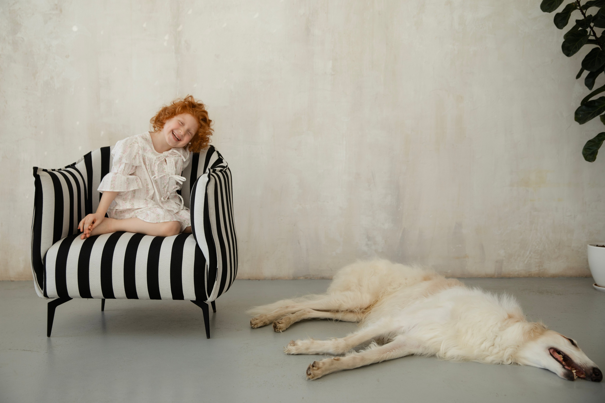 Фотосессия Софа и огромная борзая. Фотограф новорожденных, детский фотограф  Москва.Семейная съемка Москва. Семенова Анна