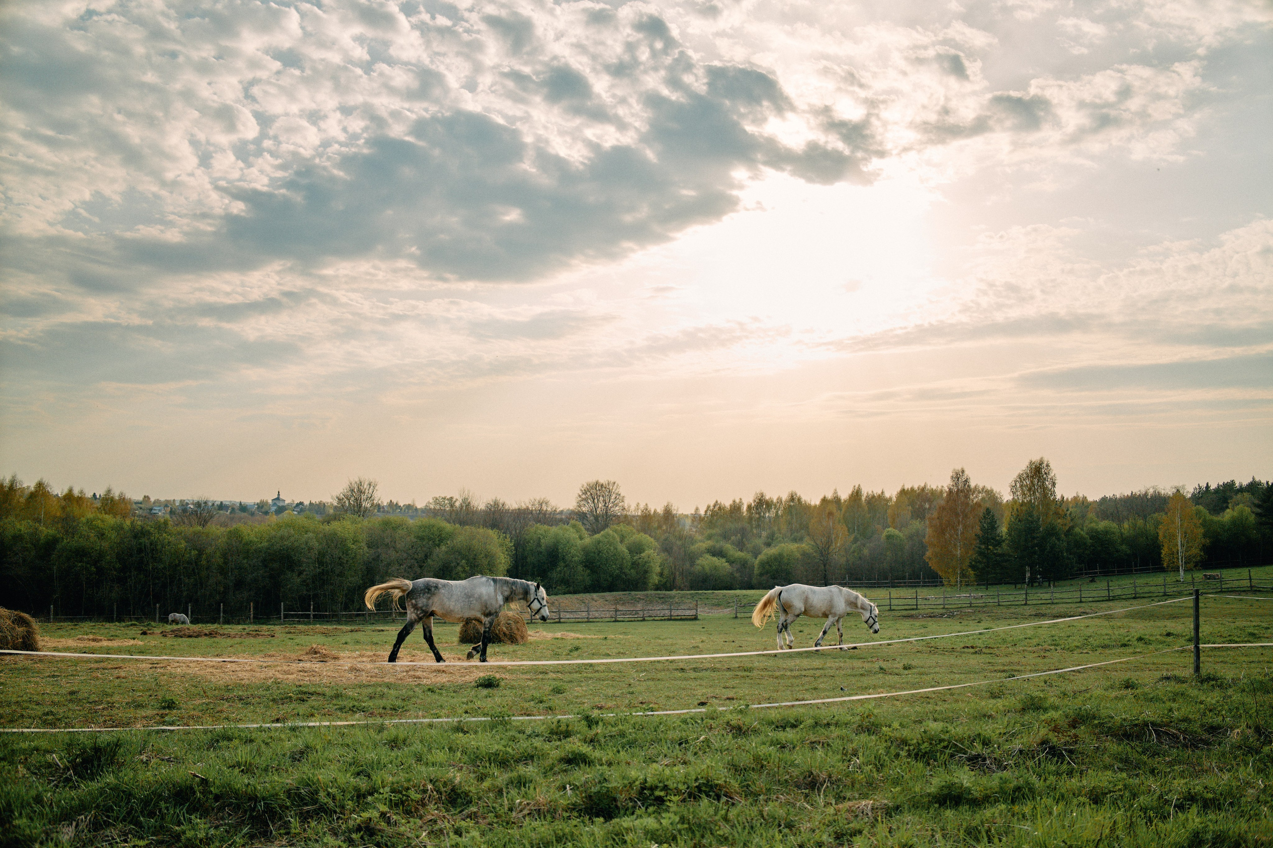 Бутик-отель Поле летом. Профессиональный Фотограф во Владимире, в Москве и в Суздале — Полина Романычева