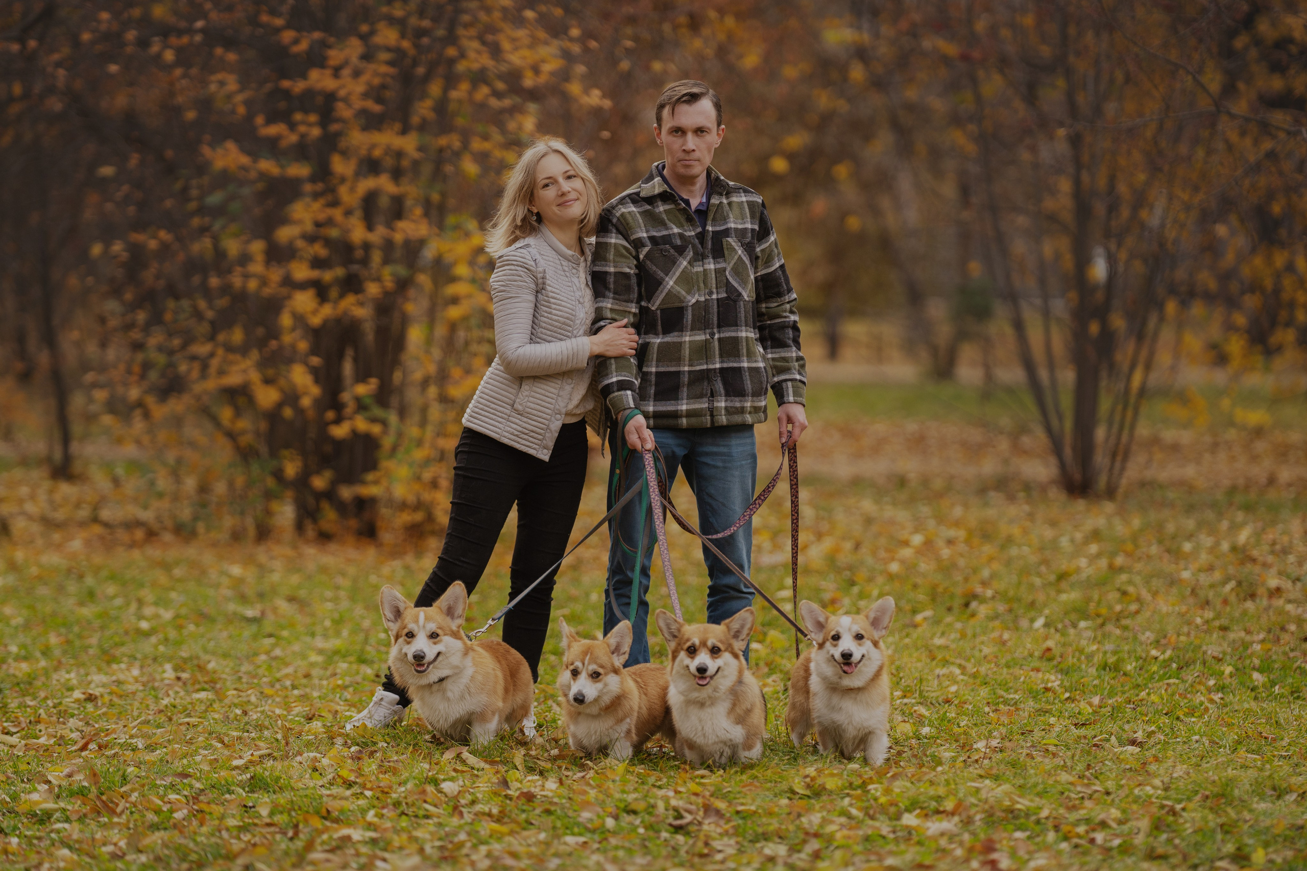 Ольга с семьей и их коргибанда. Kameramotor74