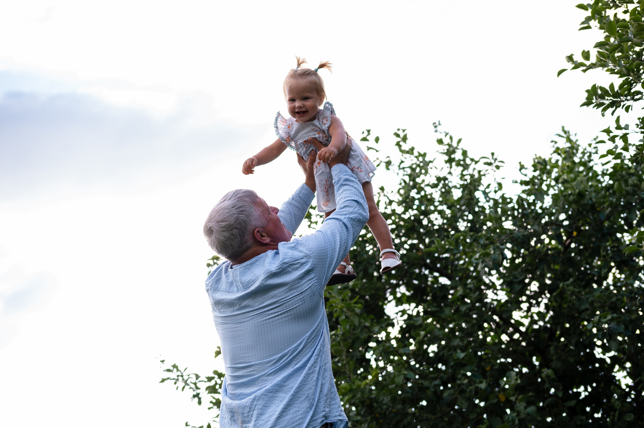 Ромашки и утята. Главная