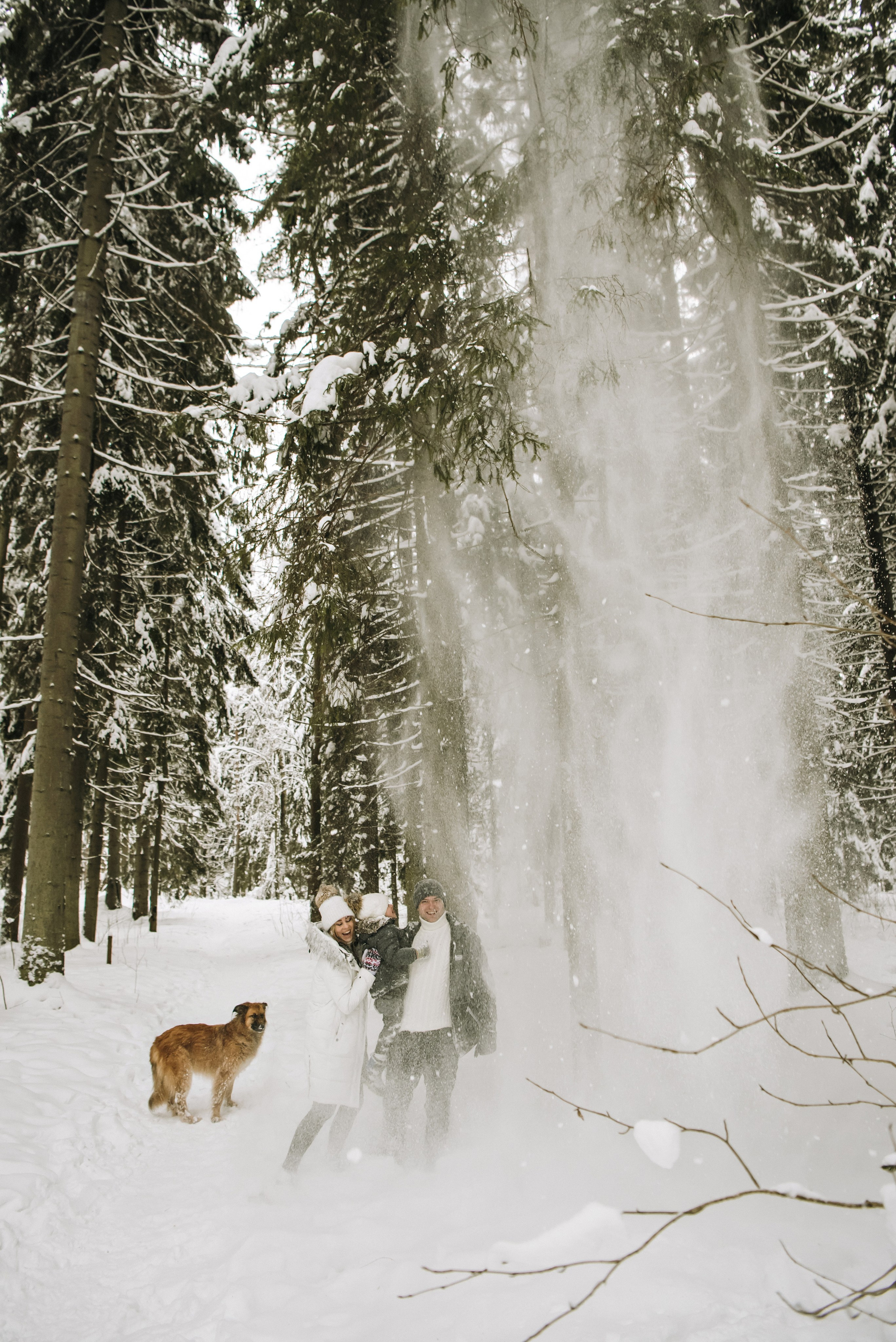 Катя и Игорь. Свадебный фотограф в Санкт-Петербурге София Шубик