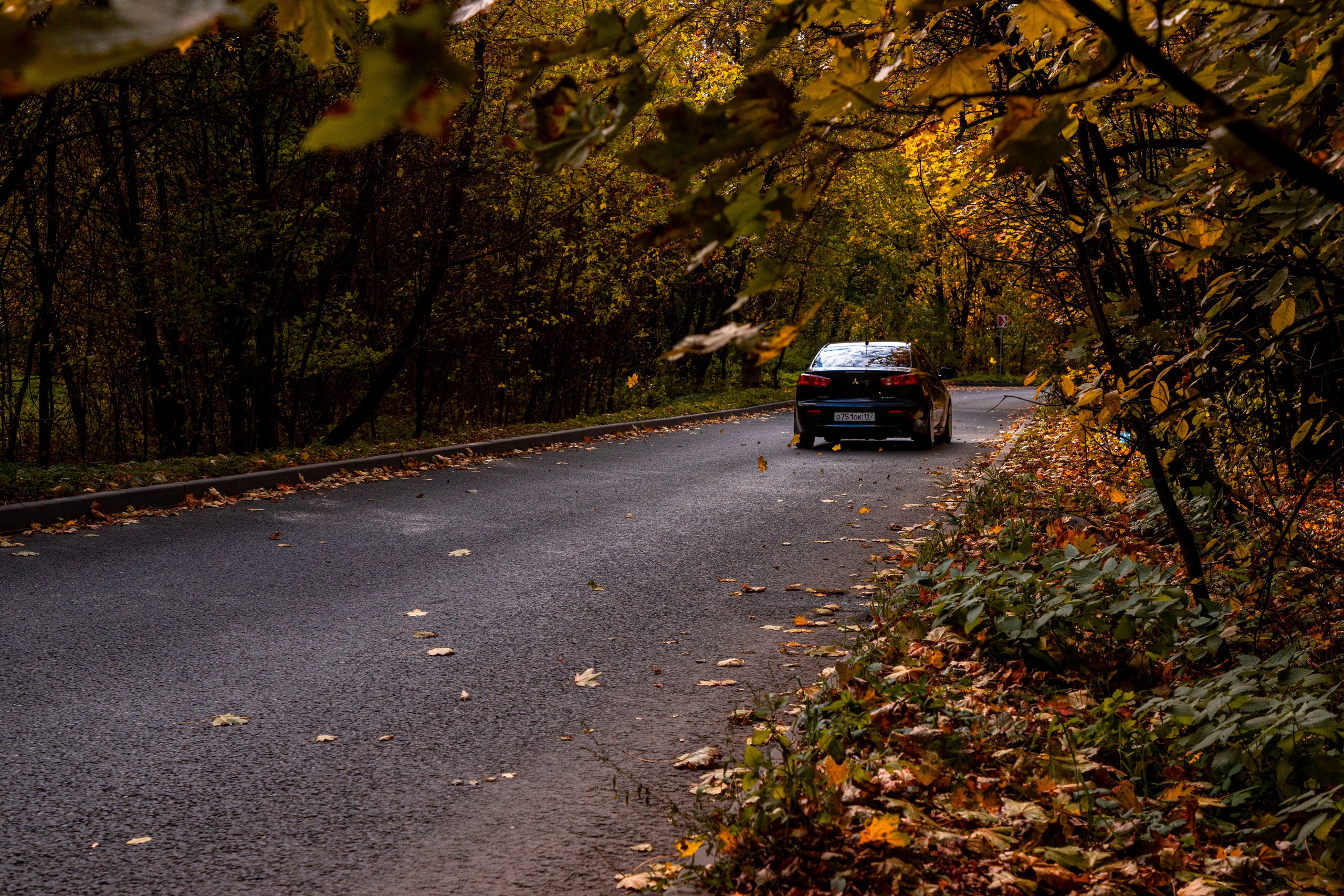 Lancer. Фотограф Анастасия Сонина