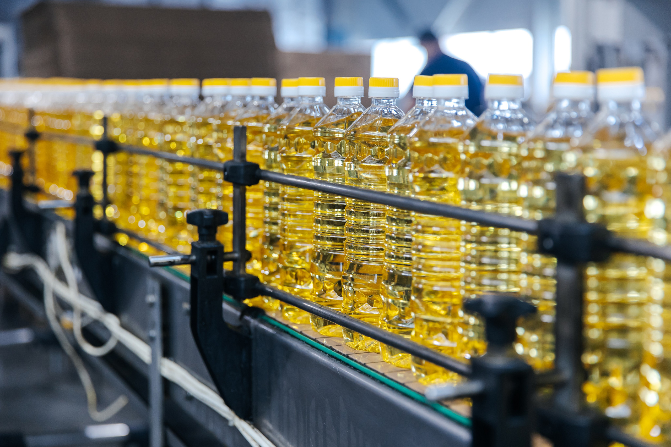 Диво Алтая. Производитель подсолнечного масла. Лихошерстов Андрей — фотограф для бизнеса из Сибири