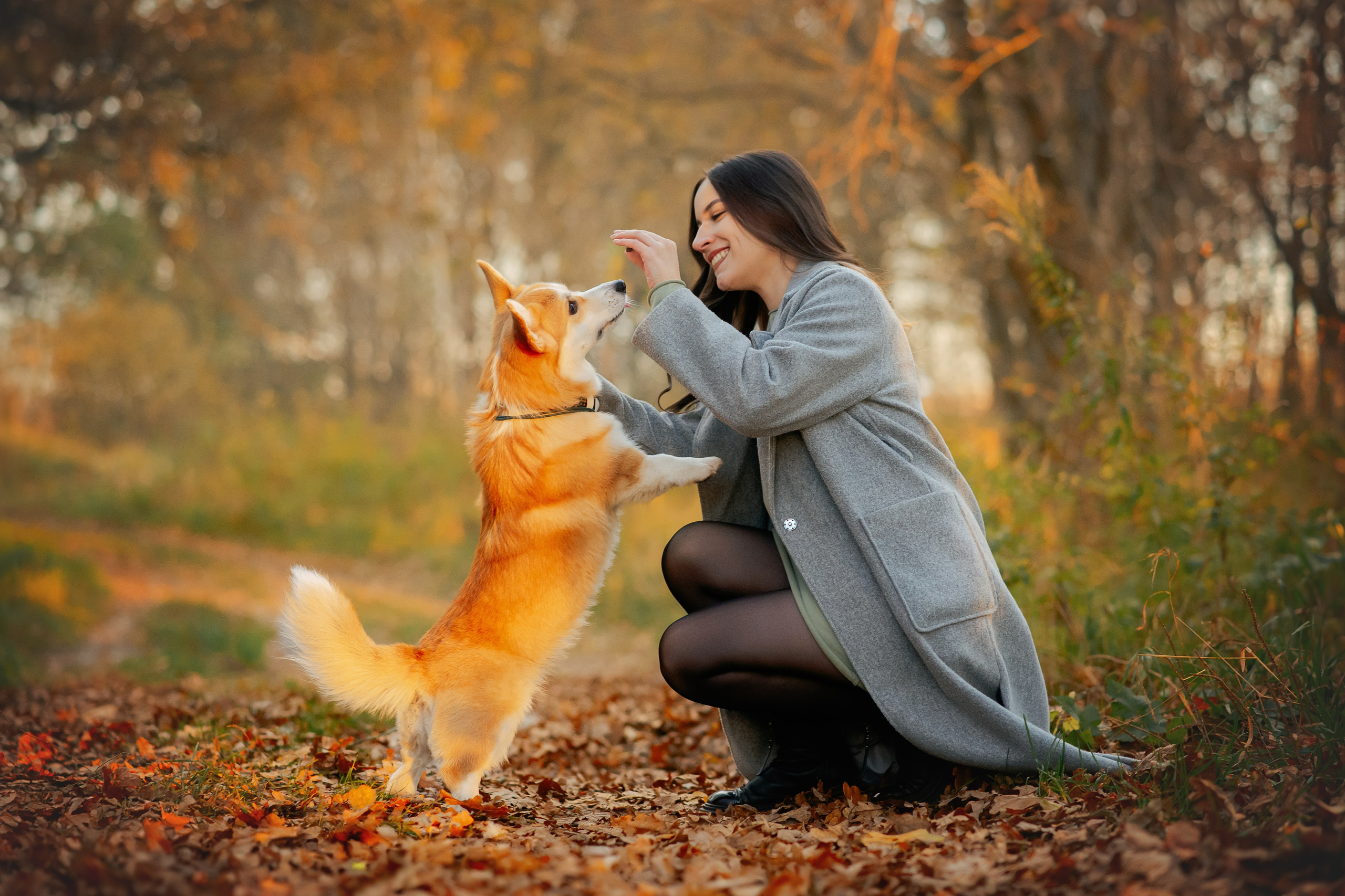 Максим, Надя, Рой и Шелби — 13.10.2024. Фотограф — Анималист | Анна Абрамова
