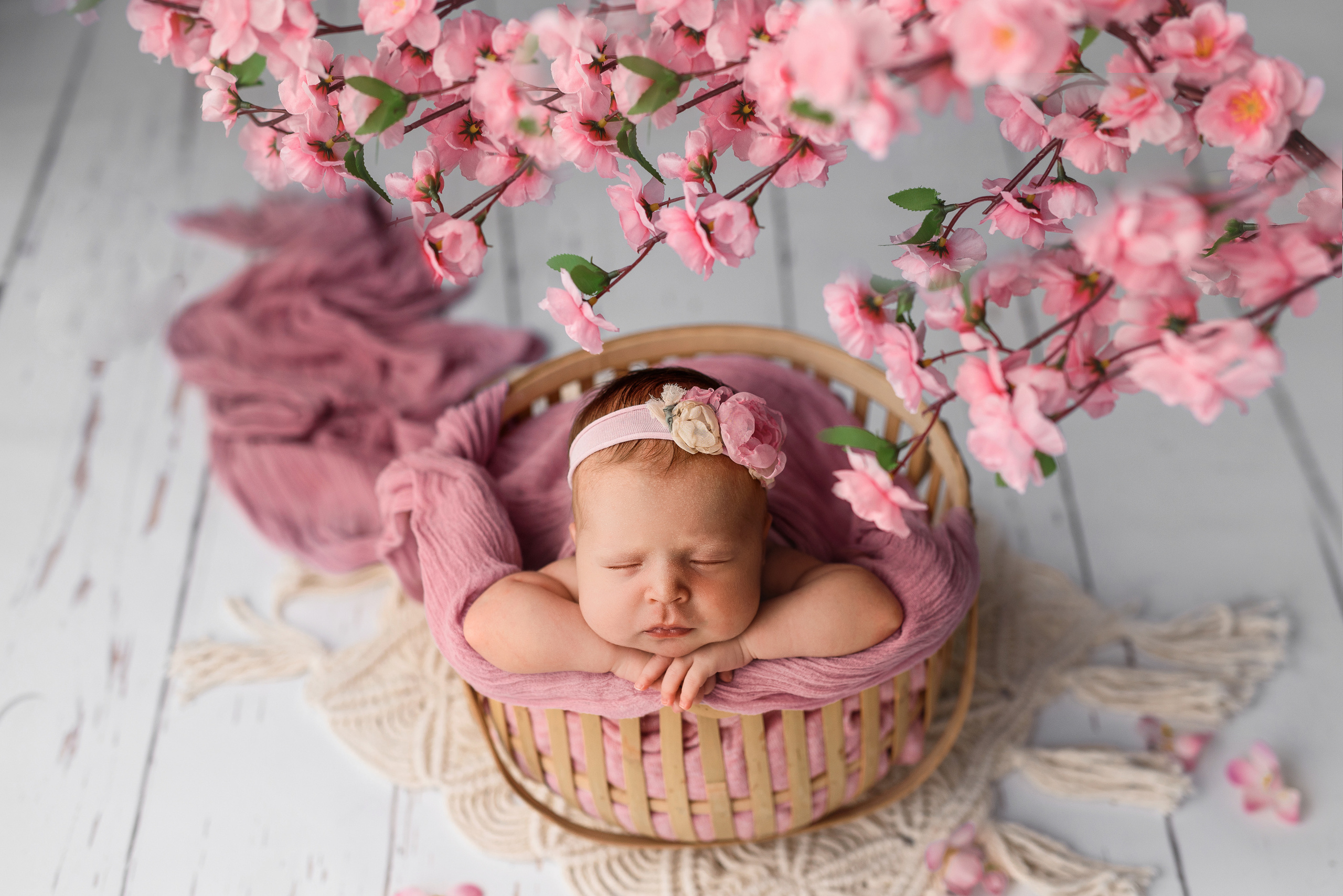 Новорожденные. Фотограф Шарыпово