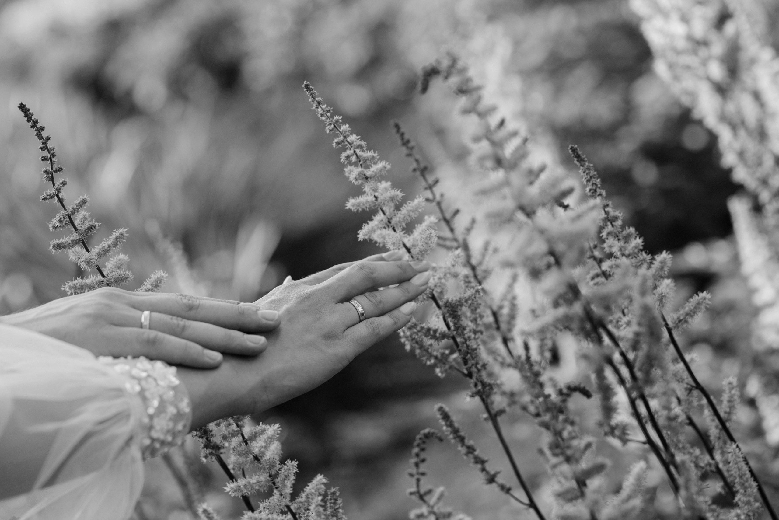 Wedding. Фотограф Шарыпово
